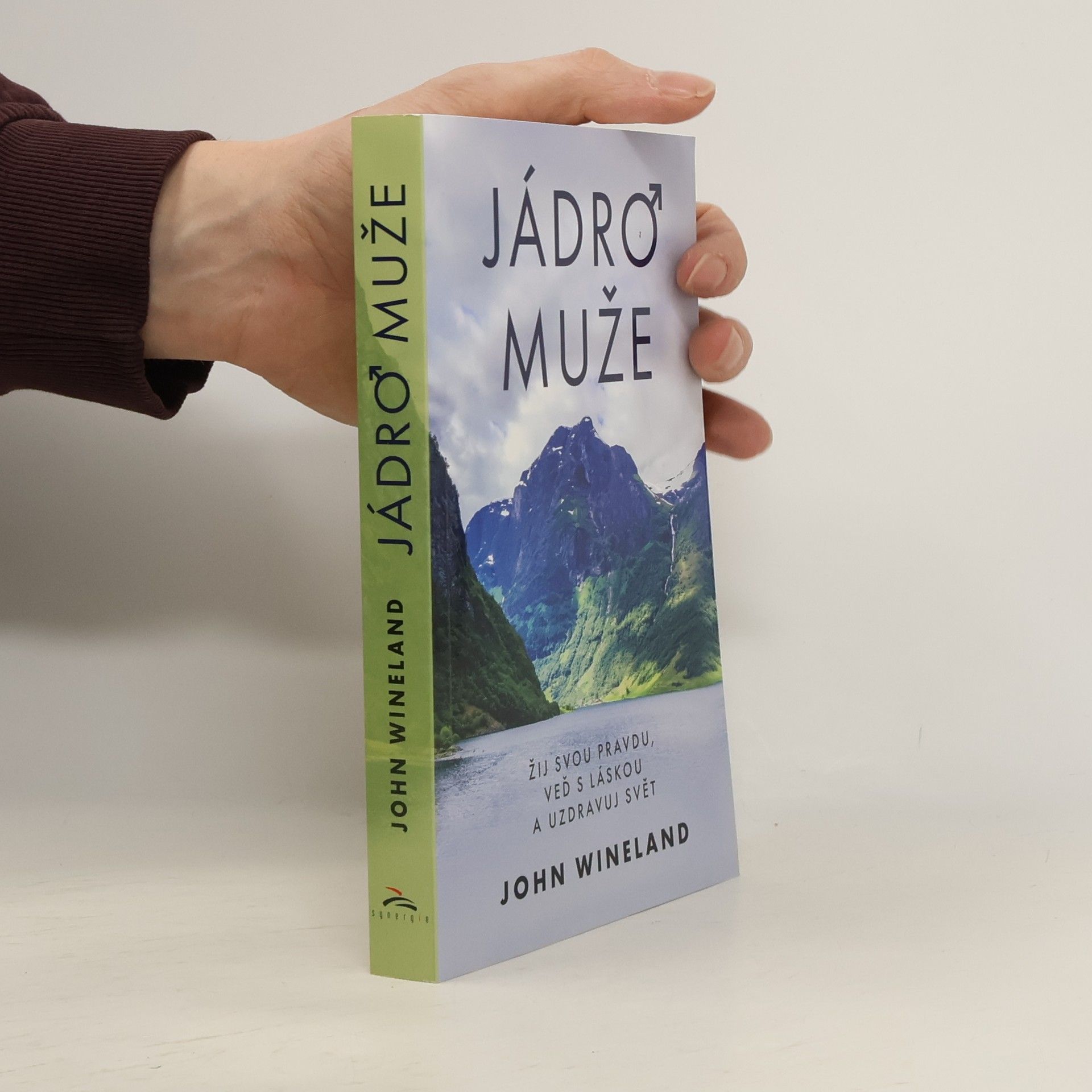 Zdeněk Böhm Jádro muže. Žij svou pravdu, veď s láskou a uzdravuj svět