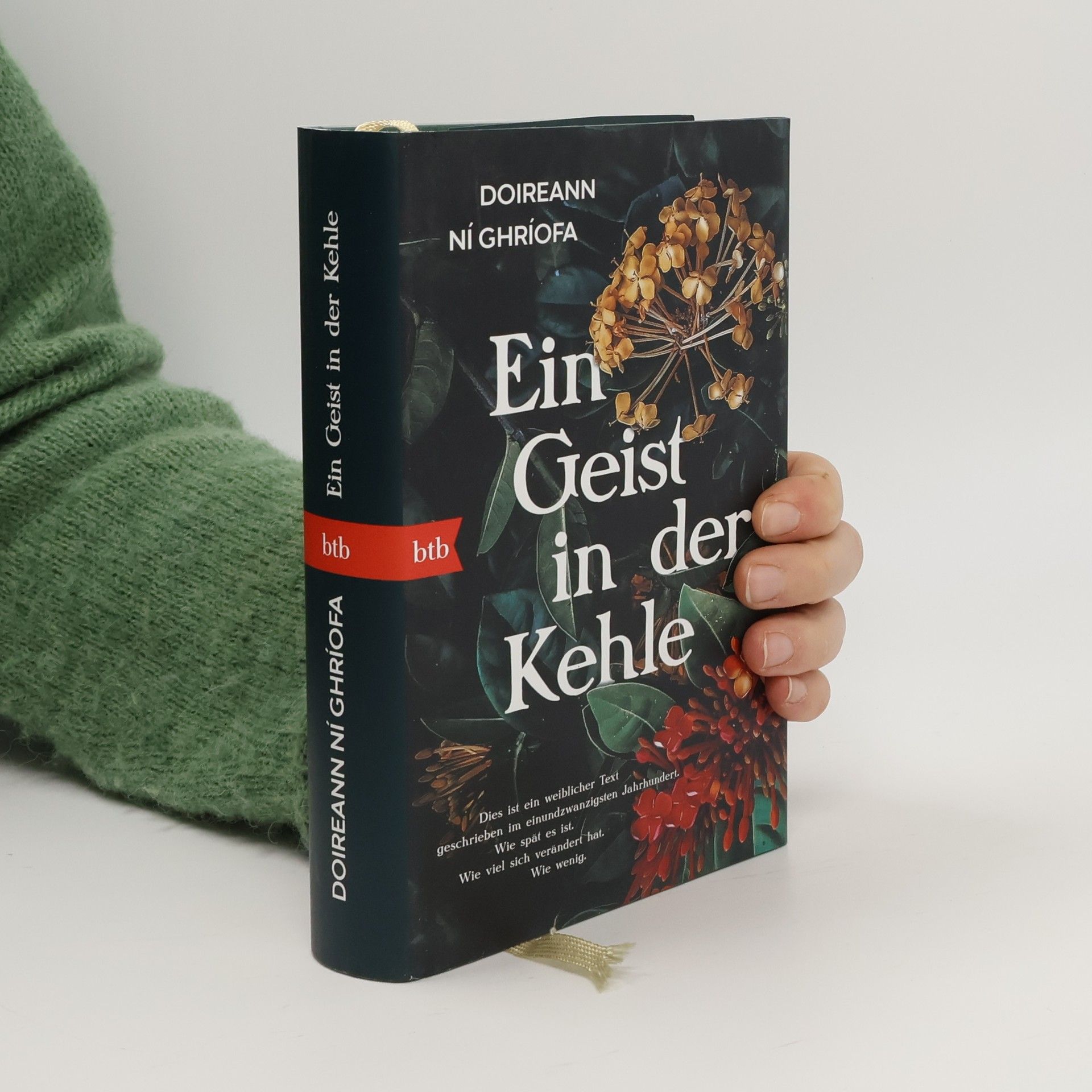 Doireann Ní Ghríofa Ein Geist in der Kehle