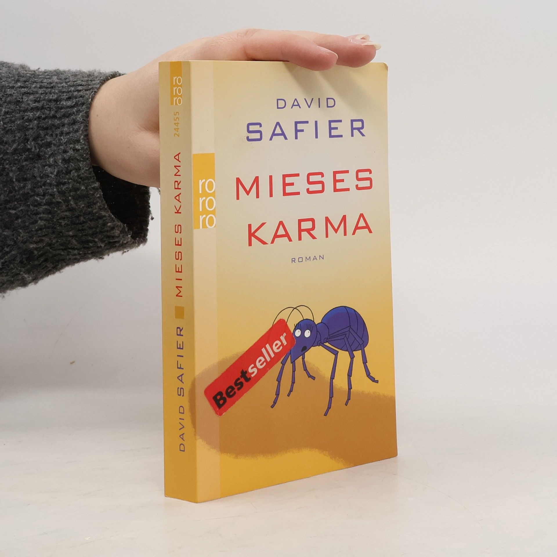 David Safier Mieses Karma