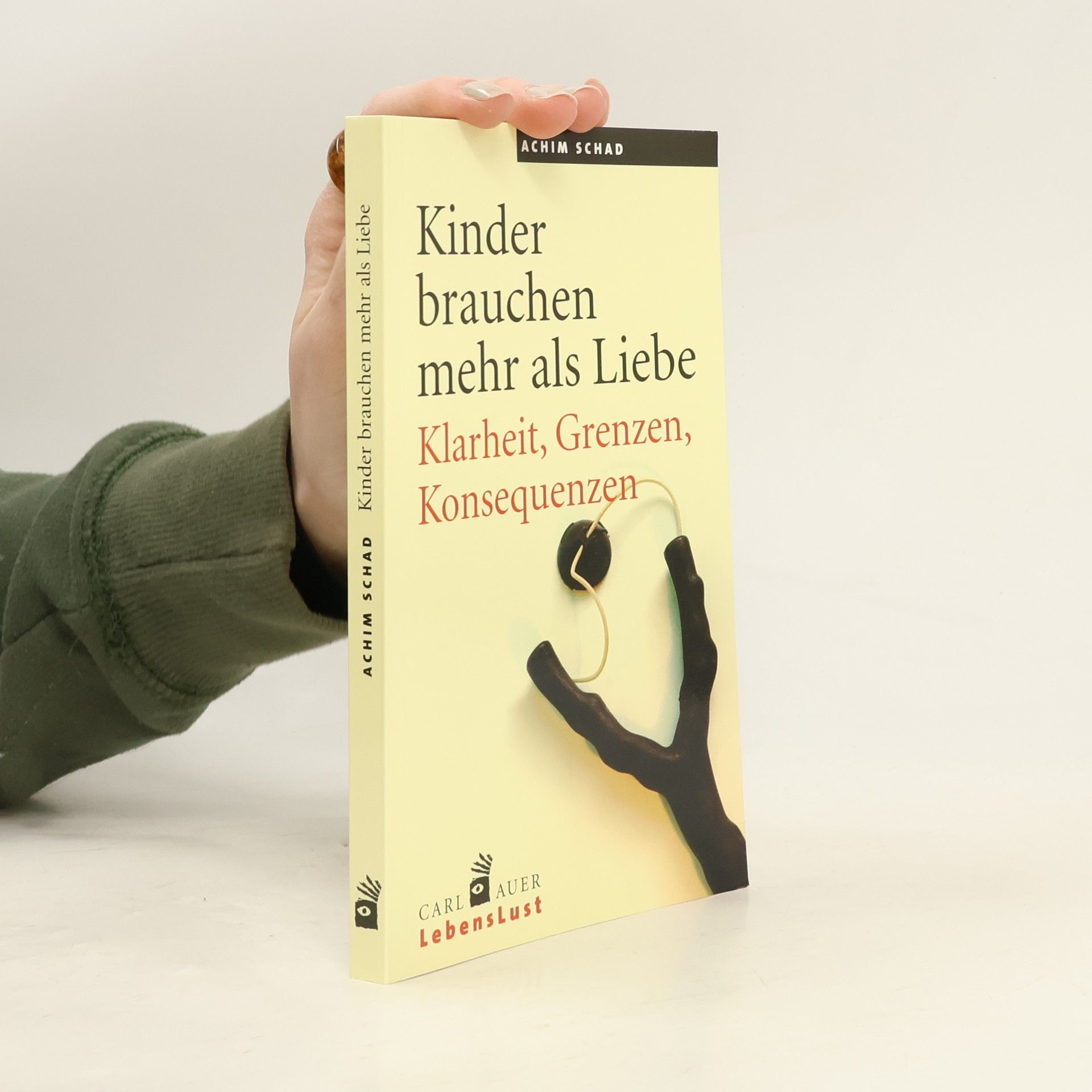 Achim Schad Kinder brauchen mehr als Liebe