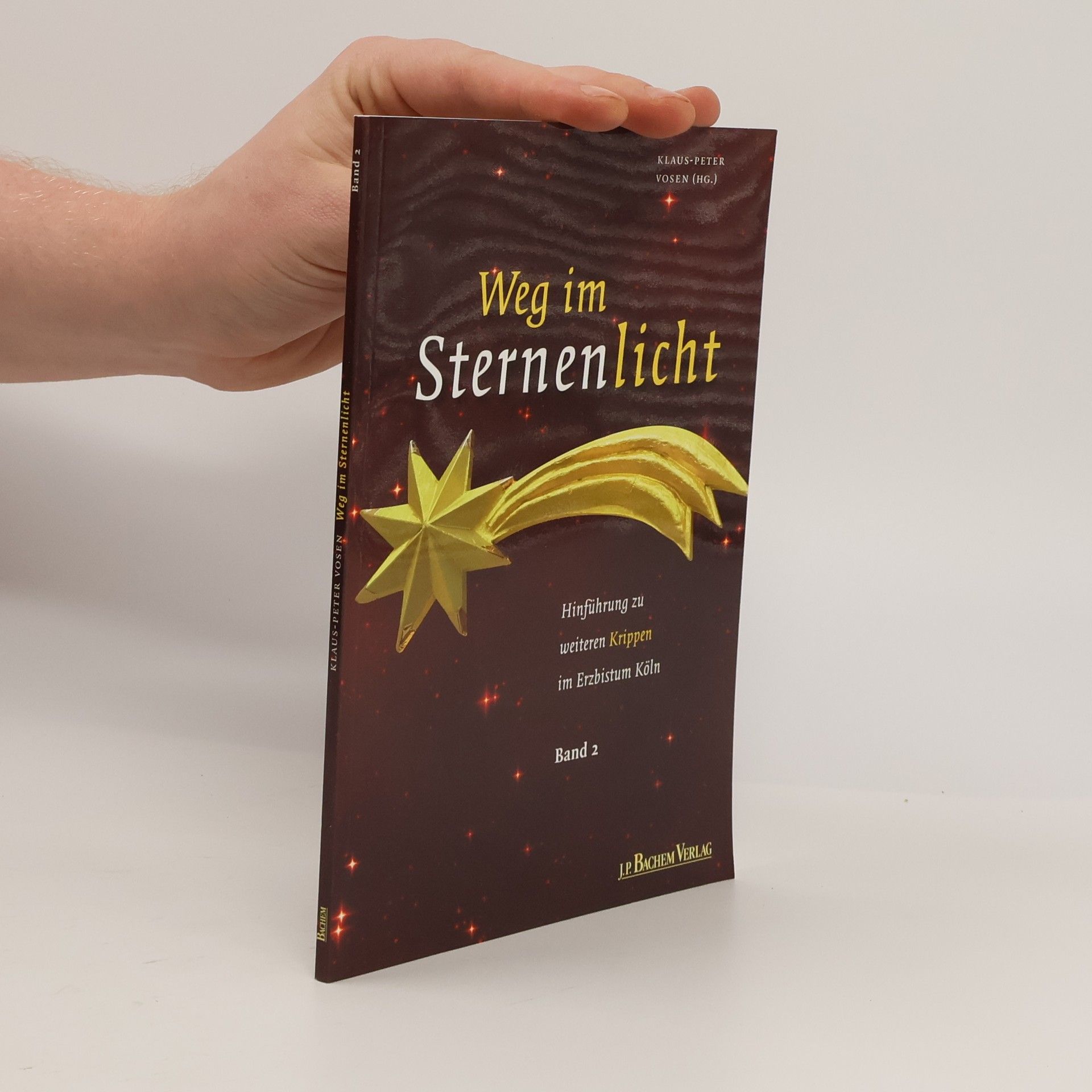 Klaus Peter Vosen Weg im Sternenlicht