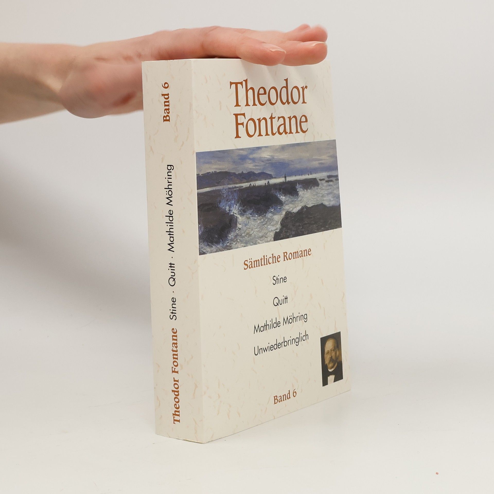 Theodor Fontane Sämtliche Romane 6