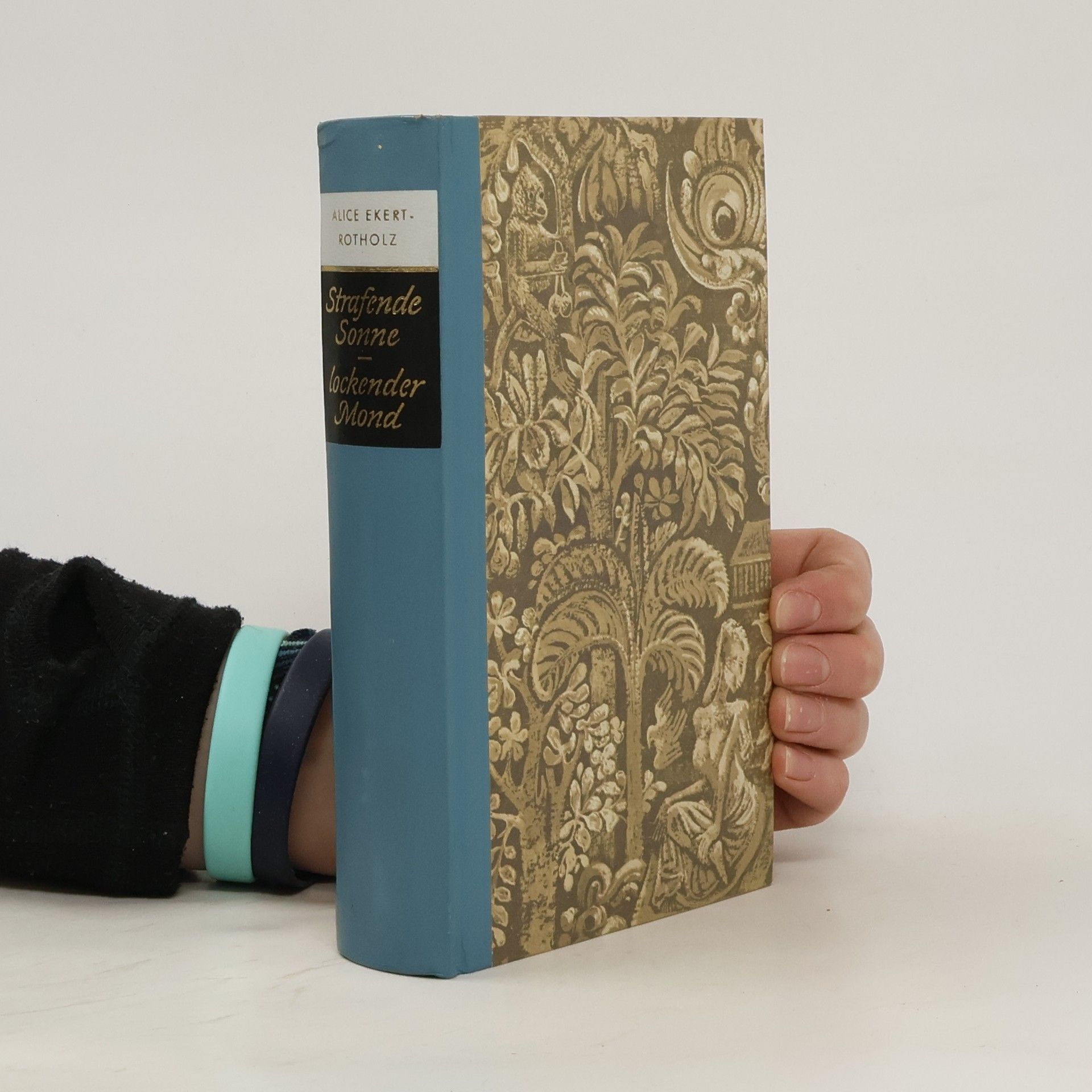 Alice Ekert-Rotholz Strafende Sonne. Lockender Mond