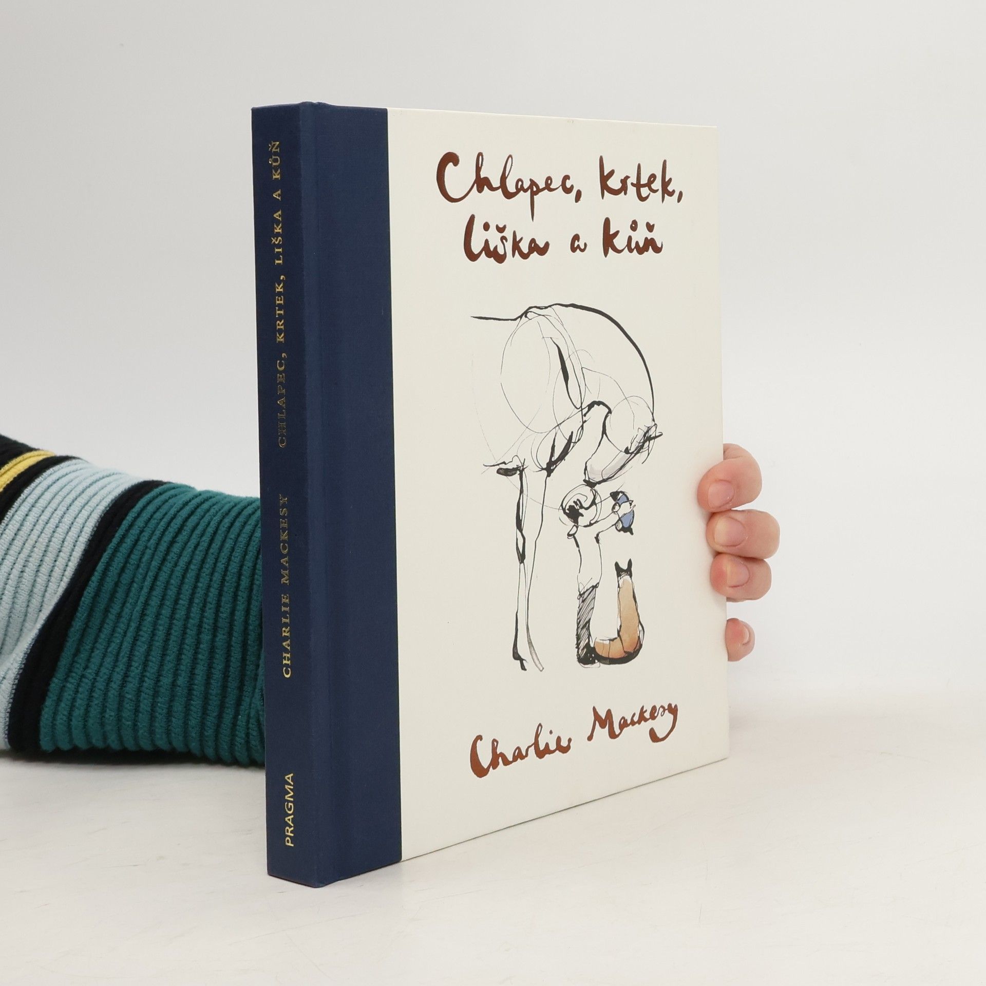 Charlie Mackesy Chlapec, krtek, liška a kůň