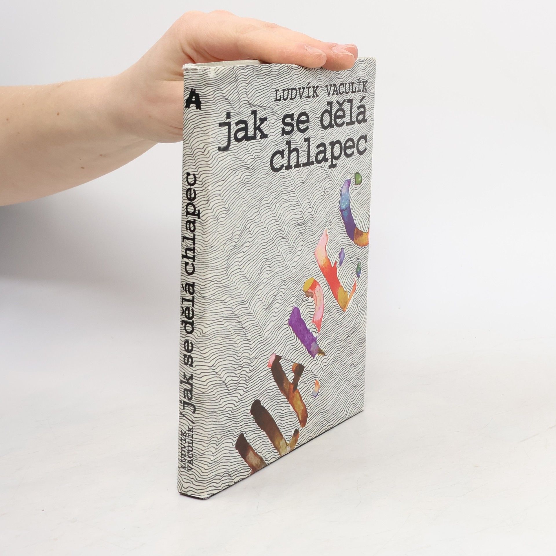 Ludvík Vaculík Jak se dělá chlapec