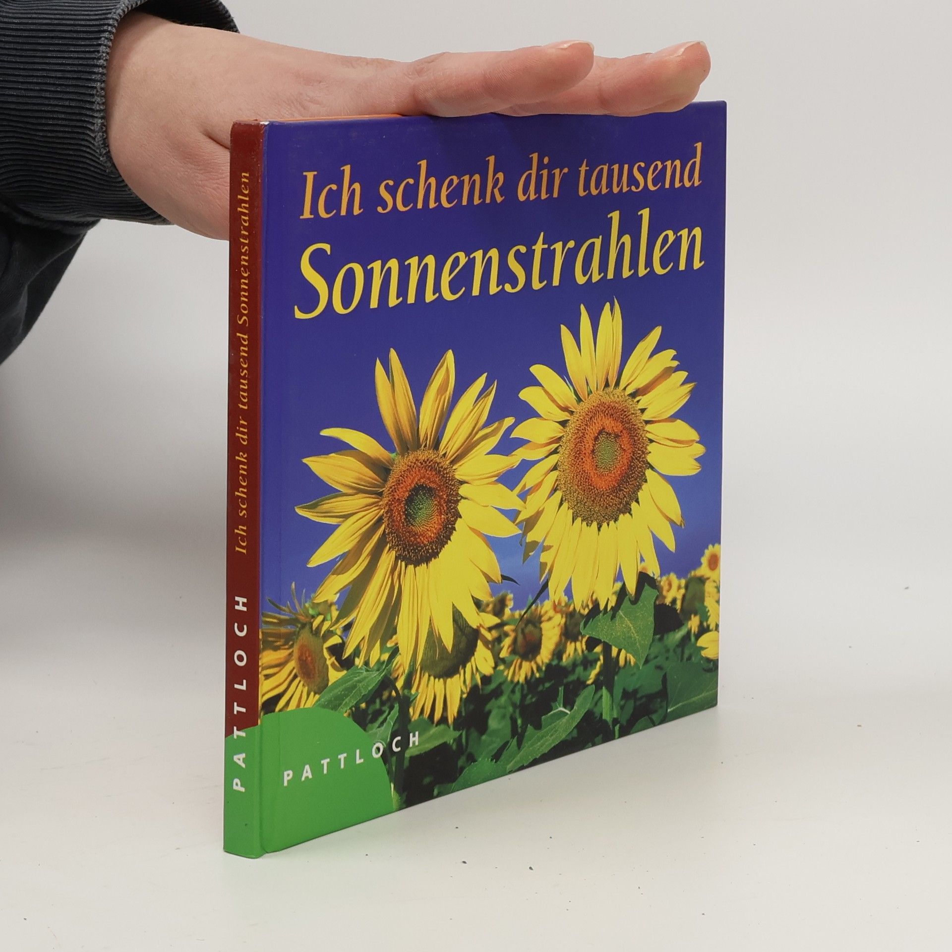 Inka Heinemann Ich schenk dir tausend Sonnenstrahlen