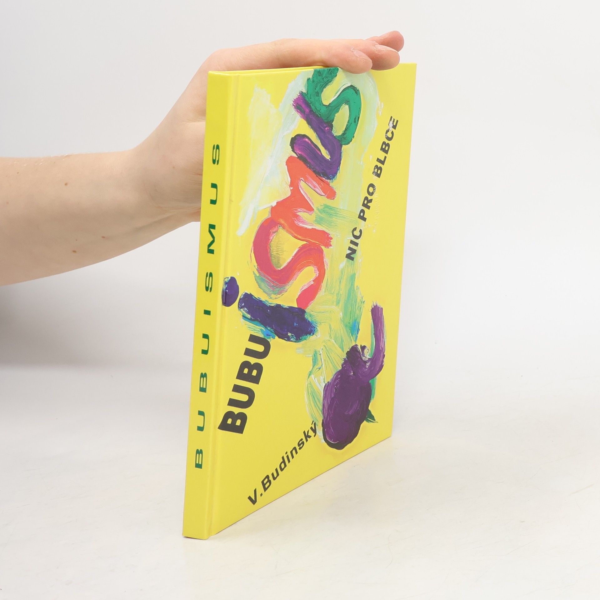 Václav Budinský Bubuismus - nic pro blbce