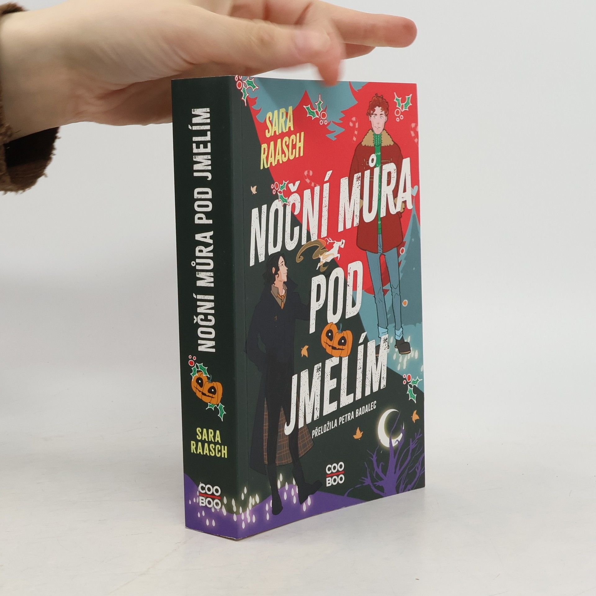 Sara Raasch Noční můra pod jmelím