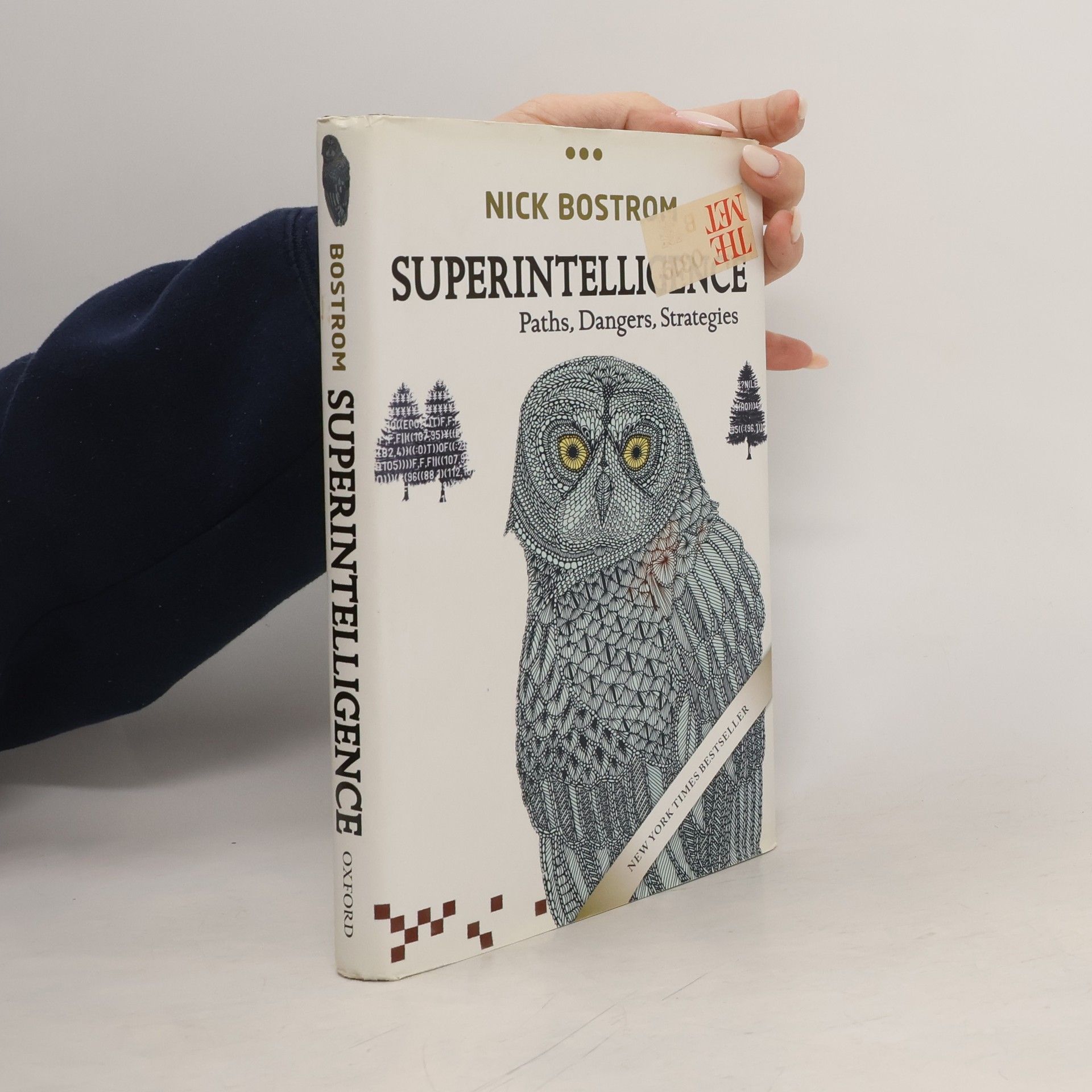 Nick Bostrom Superintelligence
