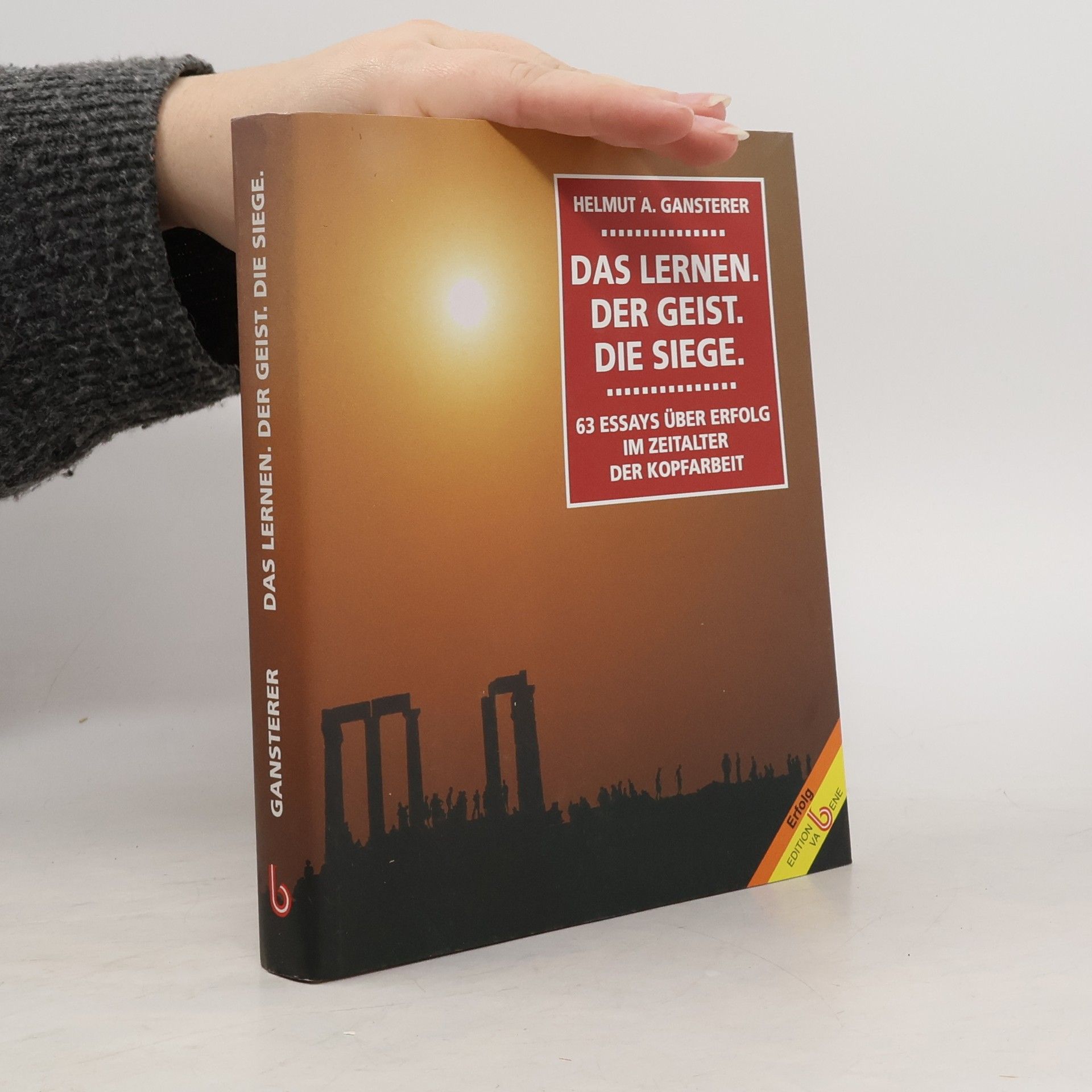 Helmut A. Gansterer Das Lernen. Der Geist. Die SIege.: 63 Essays über Erfolg im Zeitalter der Kopfarbeit