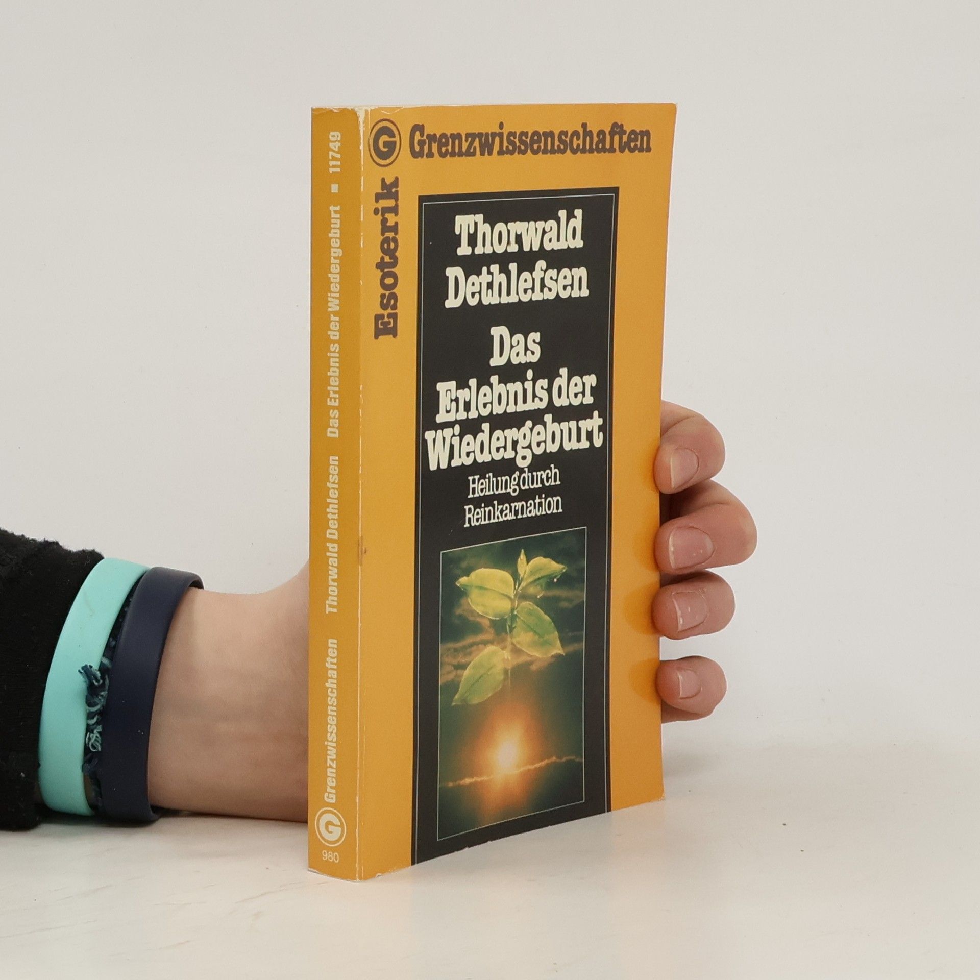 Thorwald Dethlefsen Das Erlebnis der Wiedergeburt