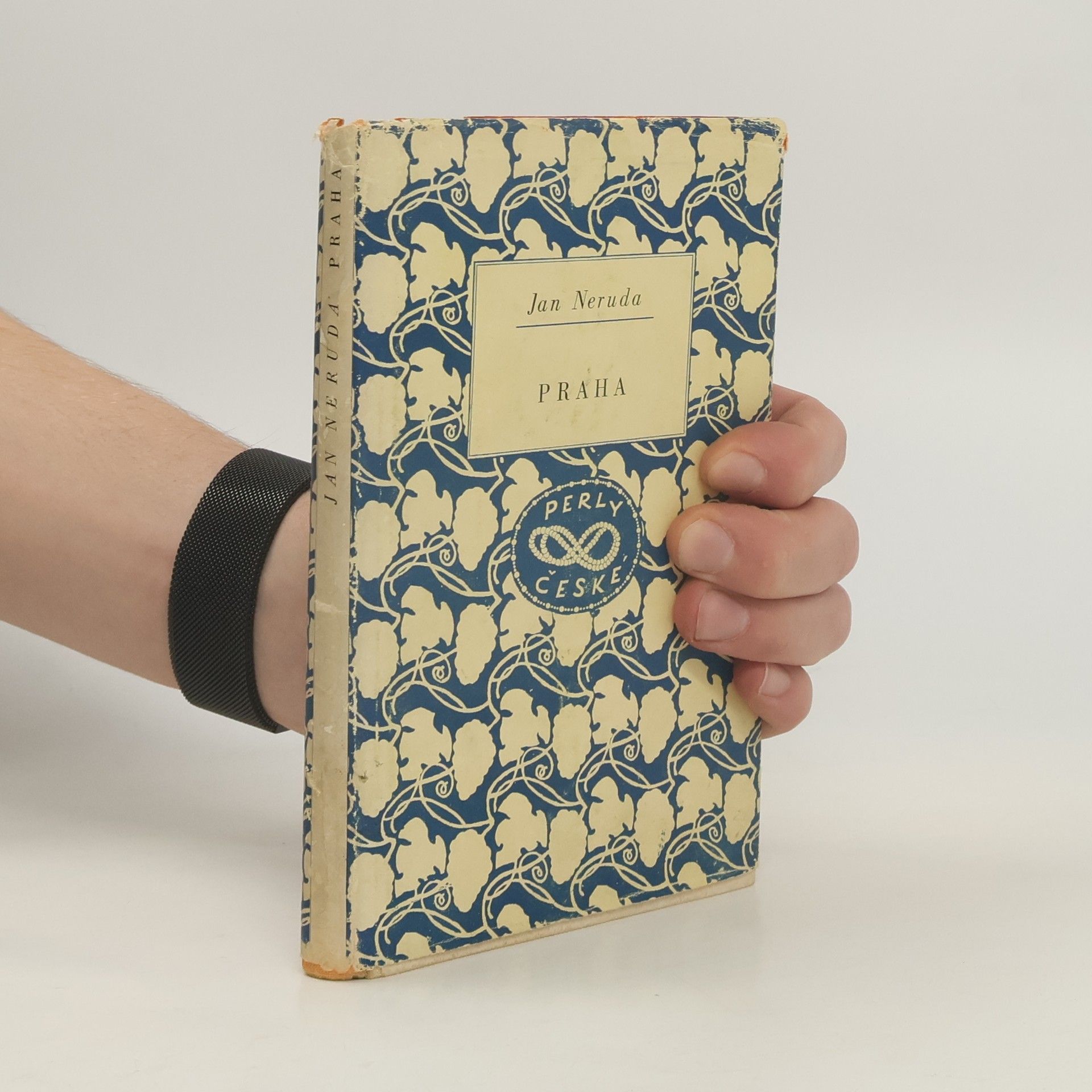 Jan Neruda Praha