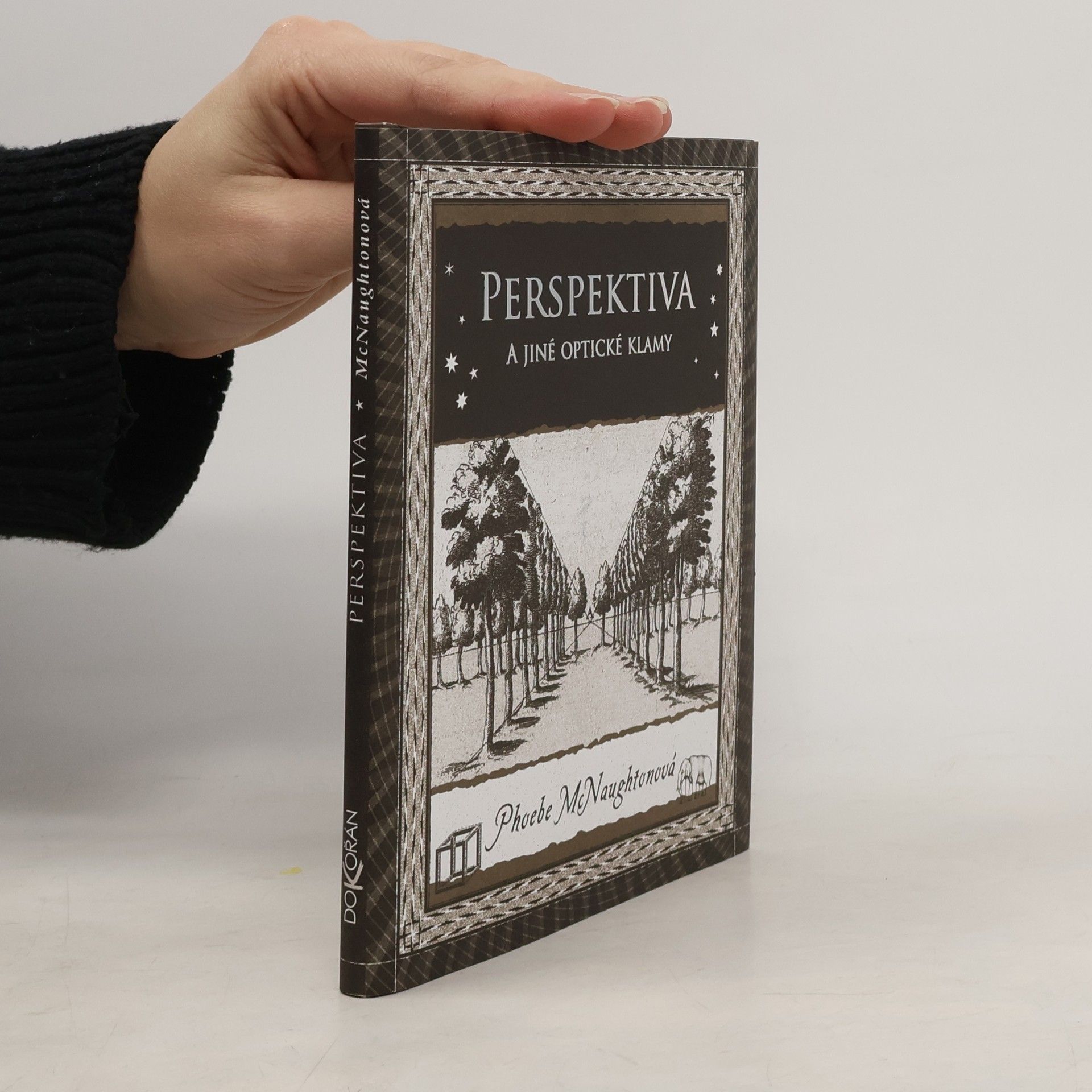 Perspektiva a jiné optické klamy