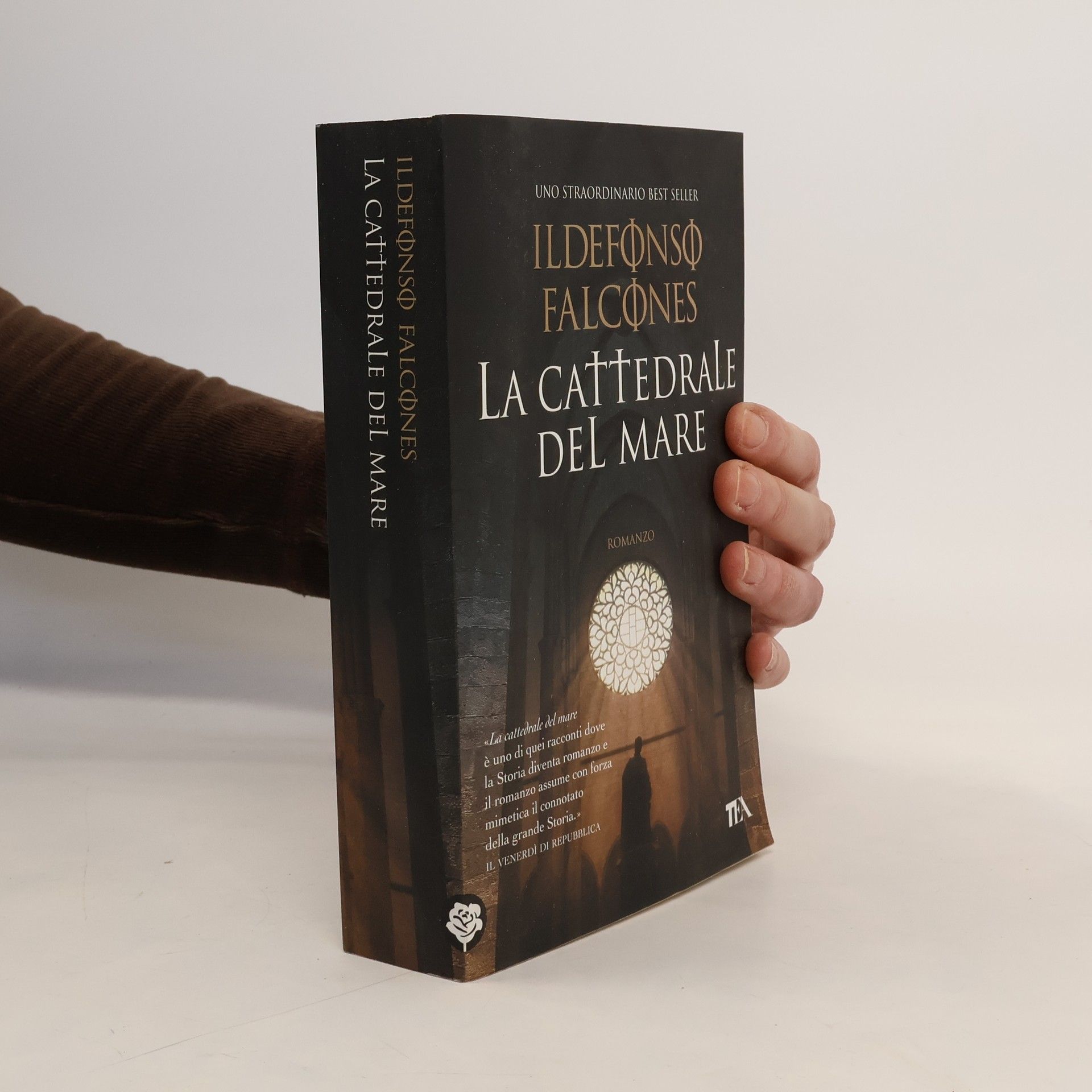 Ildefonso Falcones I massimi TEA: La cattedrale del mare