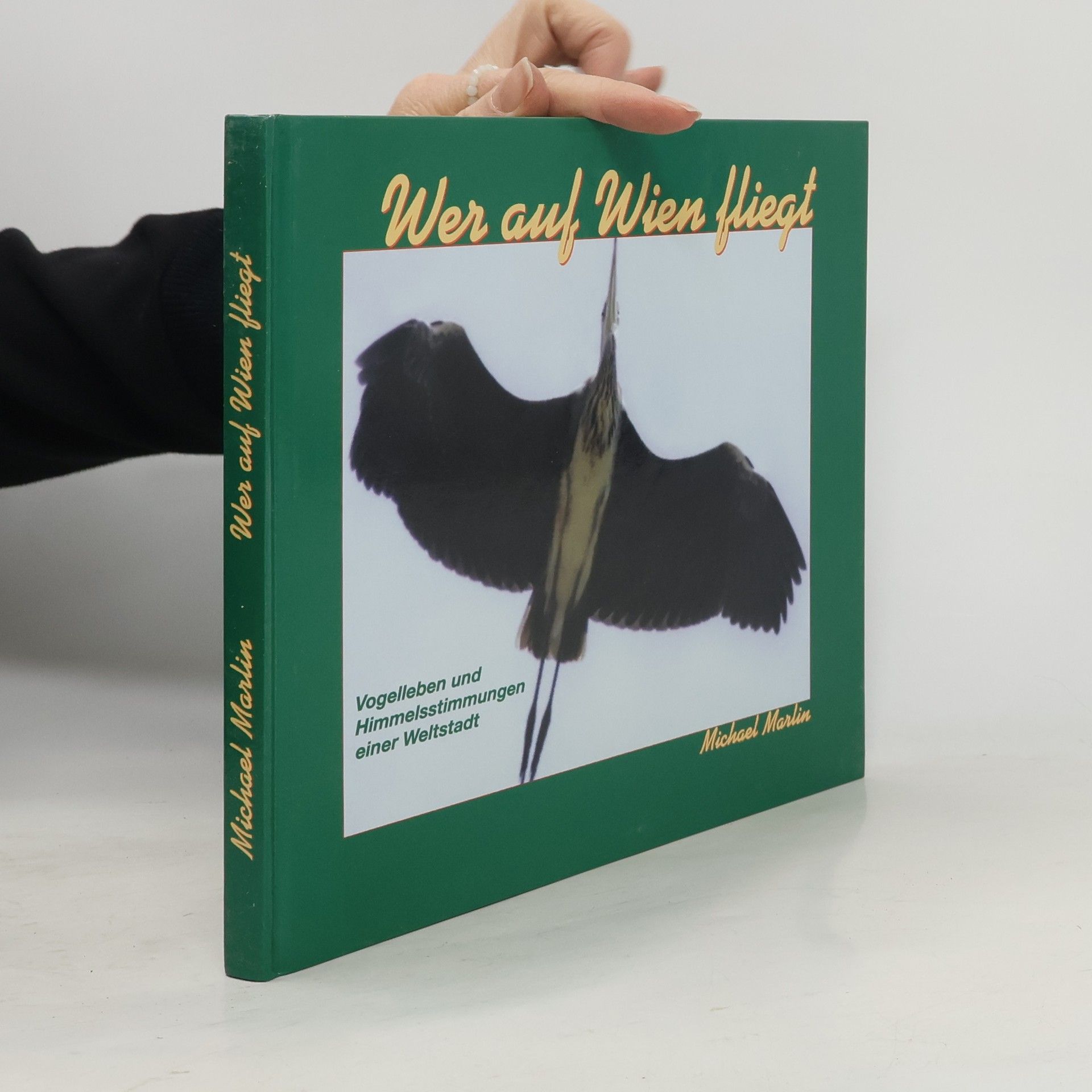 Michael Howanietz Wer auf Wien fliegt