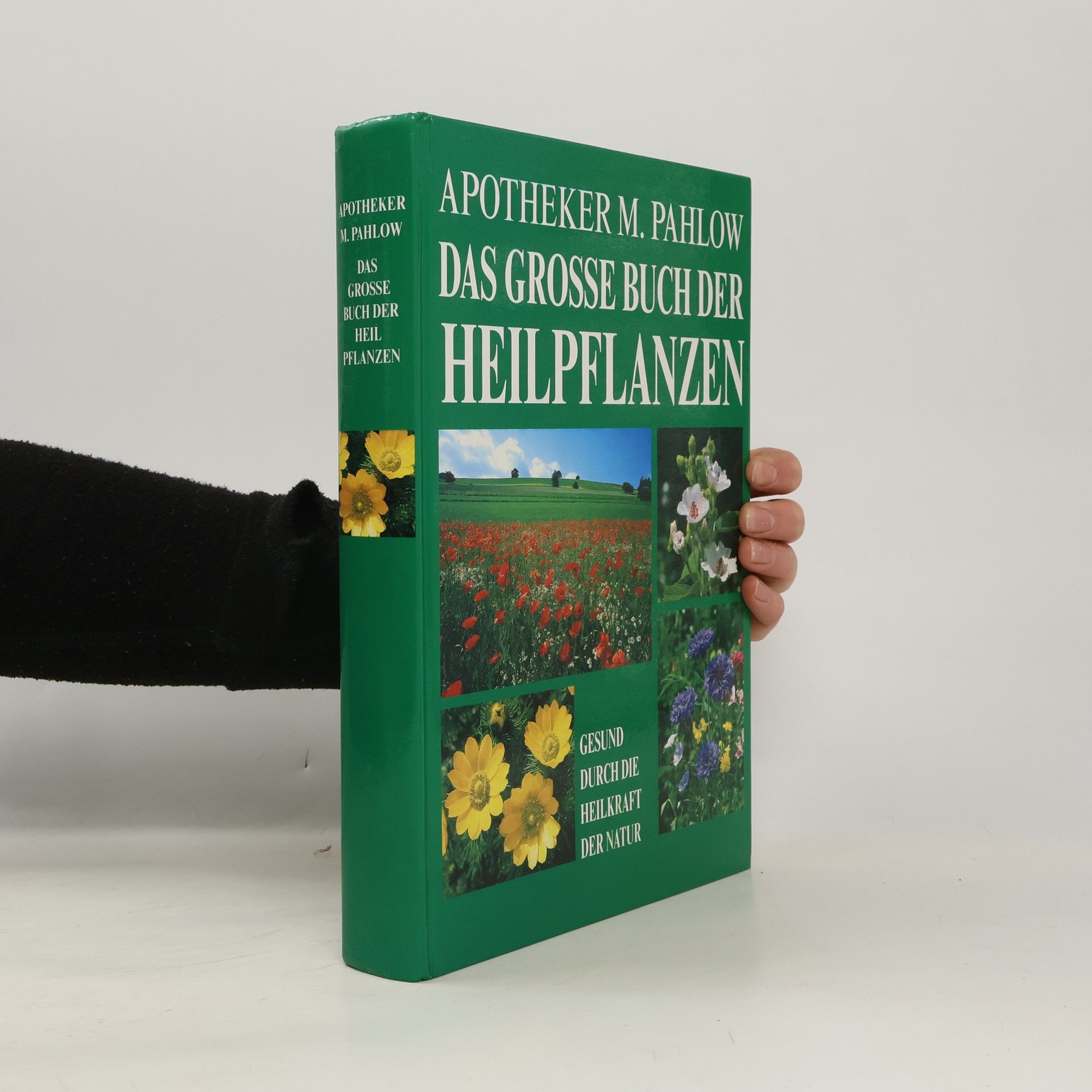 Das Große Buch der Heilpflanzen. Gesund durch die Heilkräfte der Natur