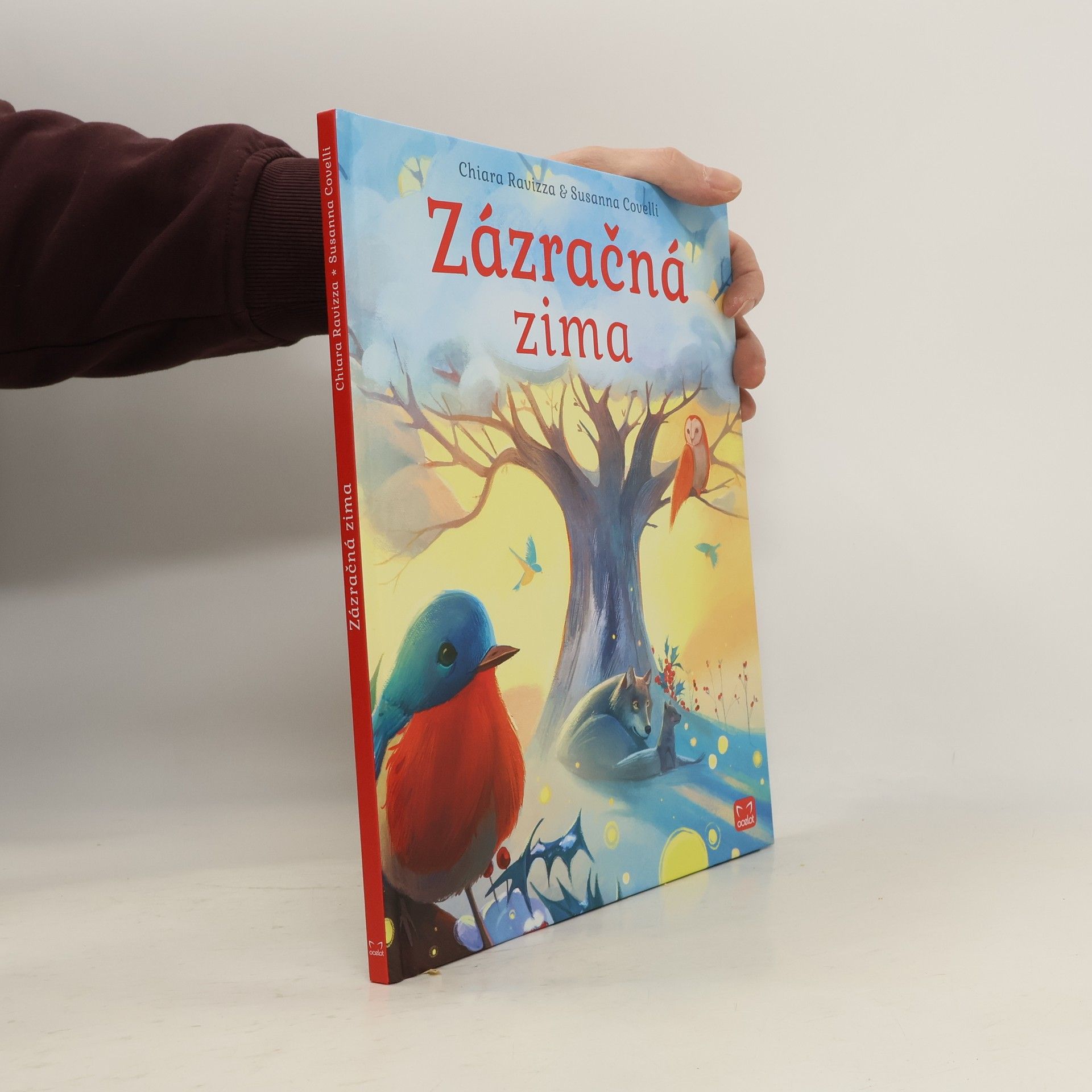 Chiara Ravizza Zázračná zima