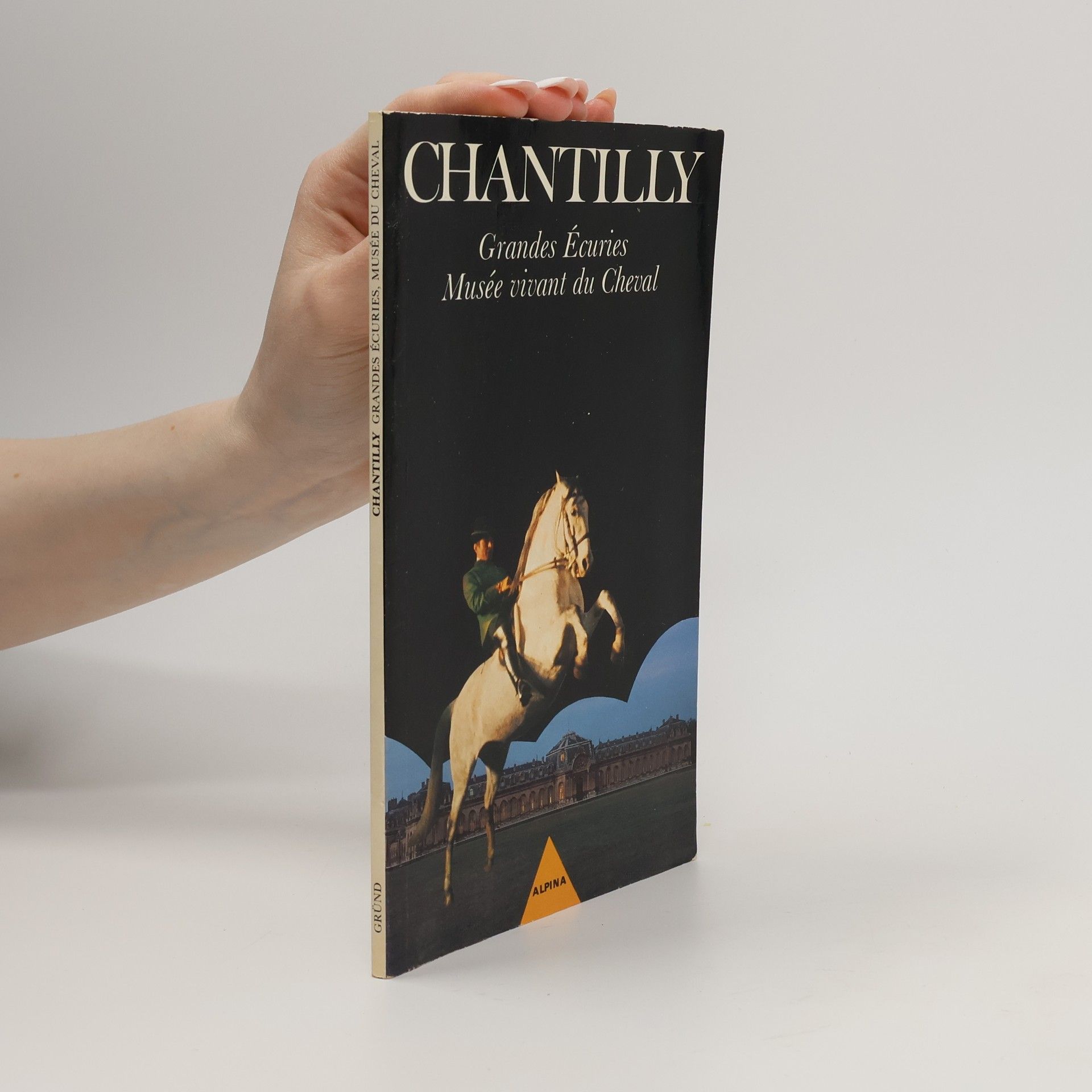 Amélie Lefébure Chantilly, Grandes écuries, Musée vivant du cheval