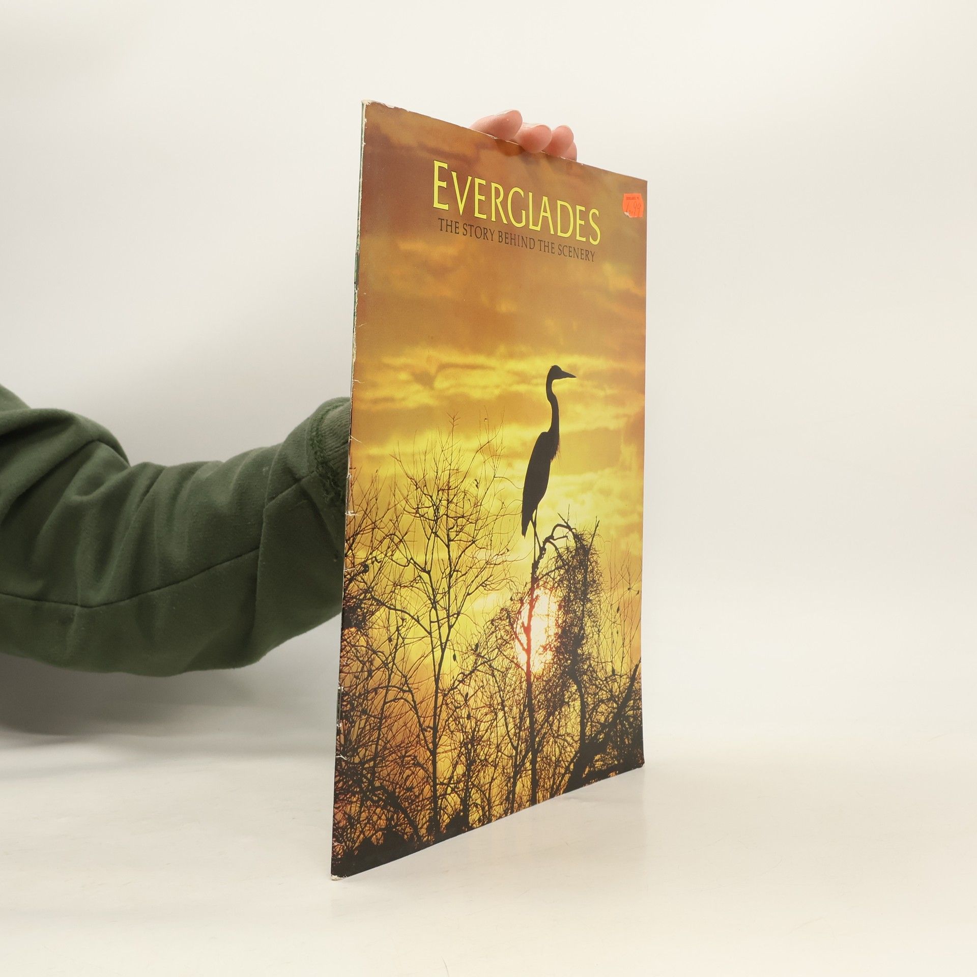 Jack De Golia Everglades