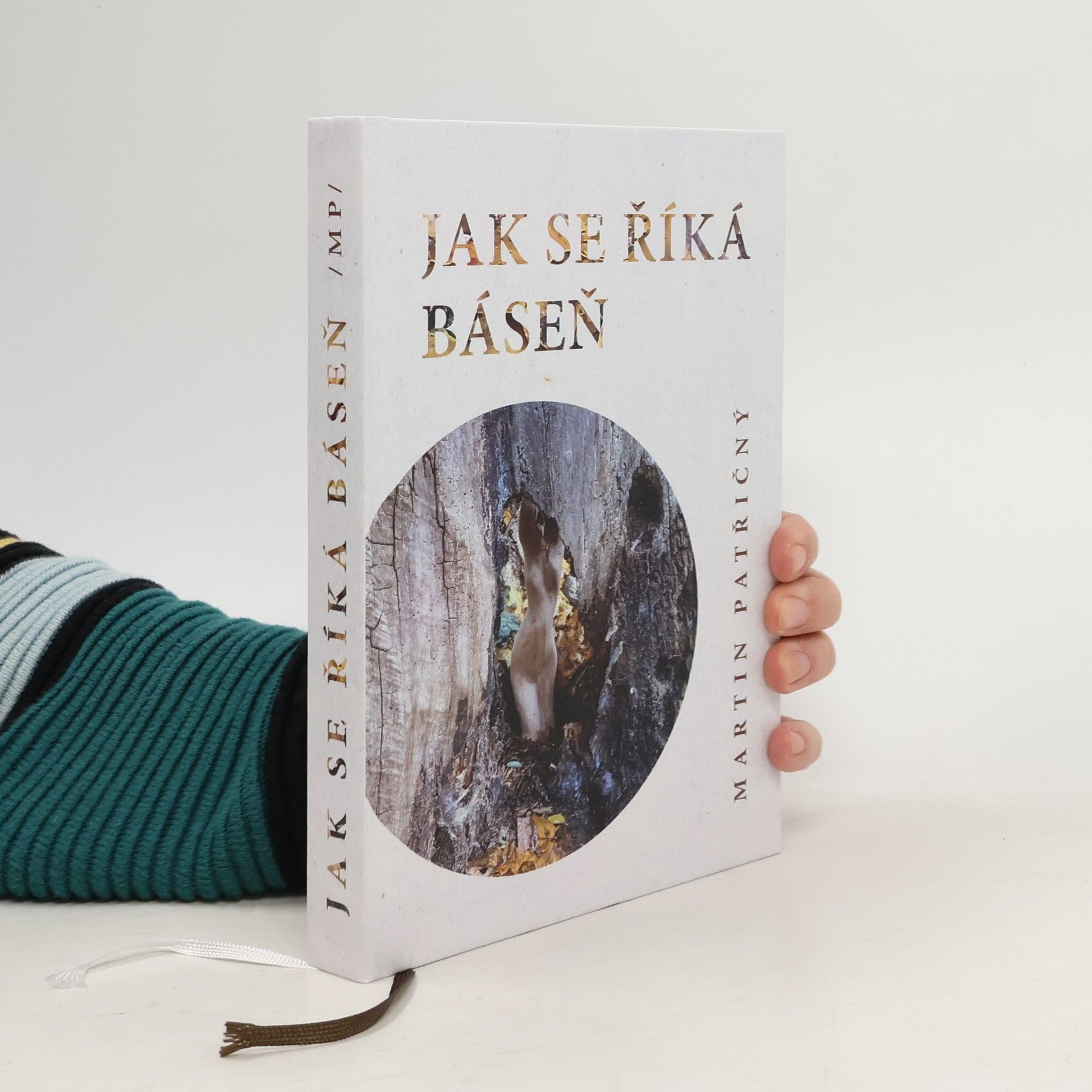 Martin Patřičný Jak se říká báseň