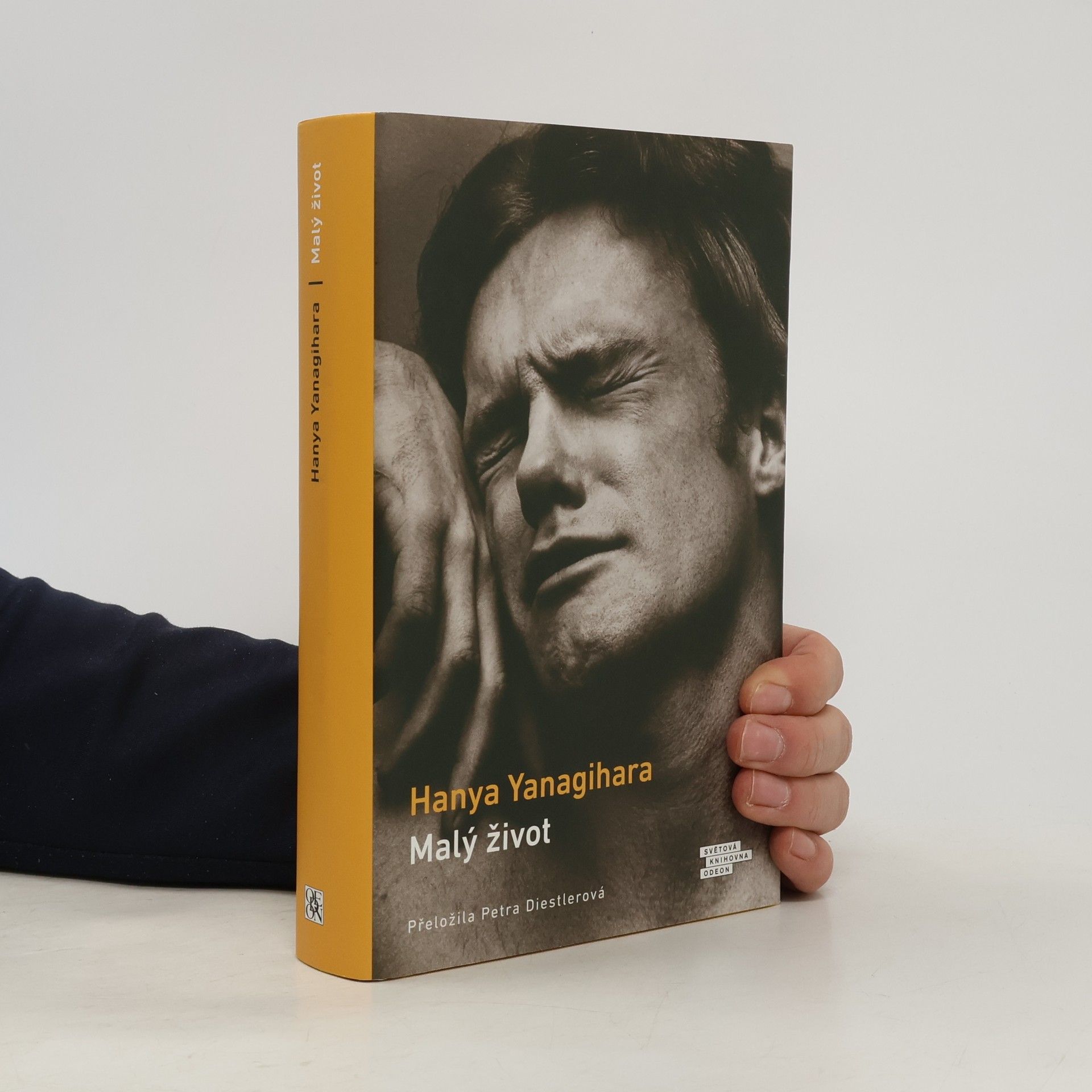 Hanya Yanagihara Malý život