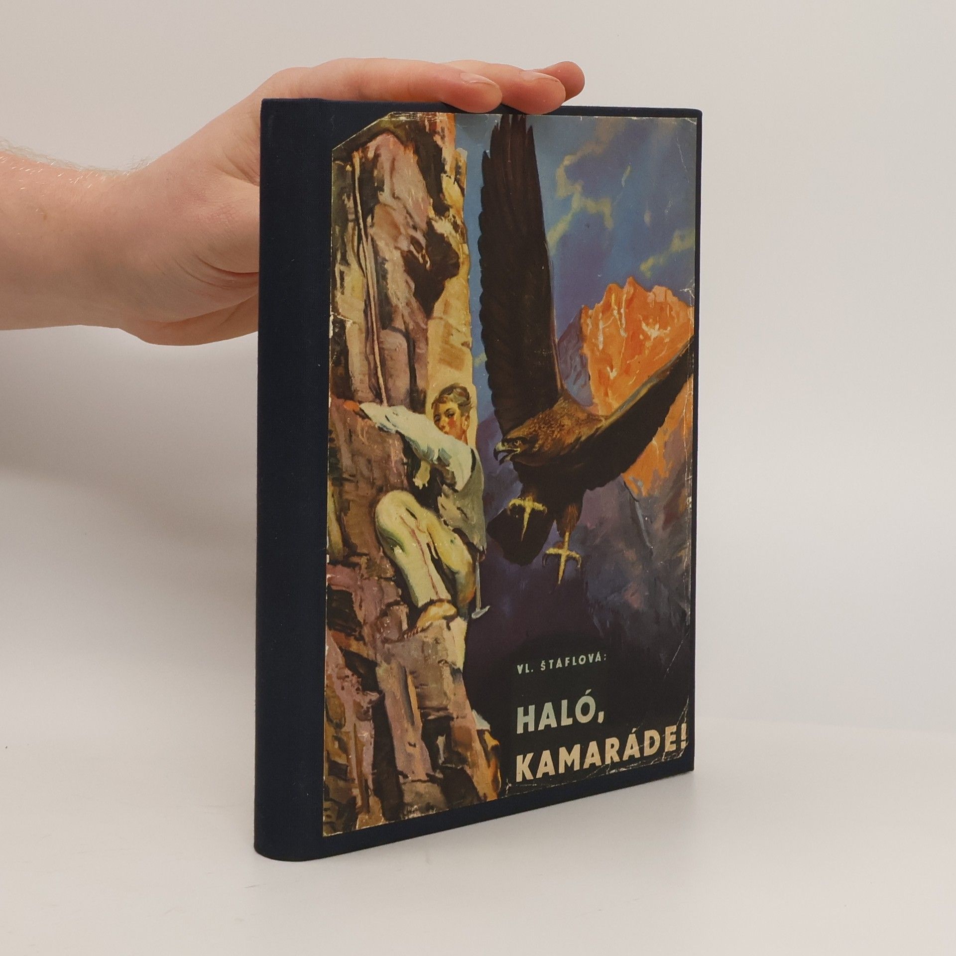 V. Štáflová Halo-kamaráde!