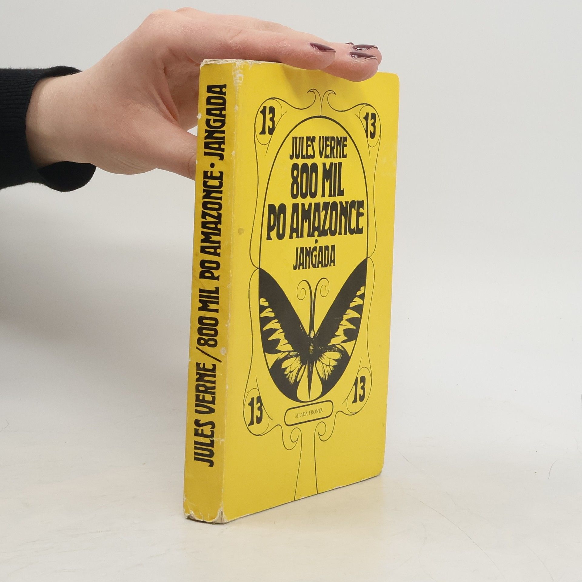 Jules Verne 800 mil po Amazonce. Jangada