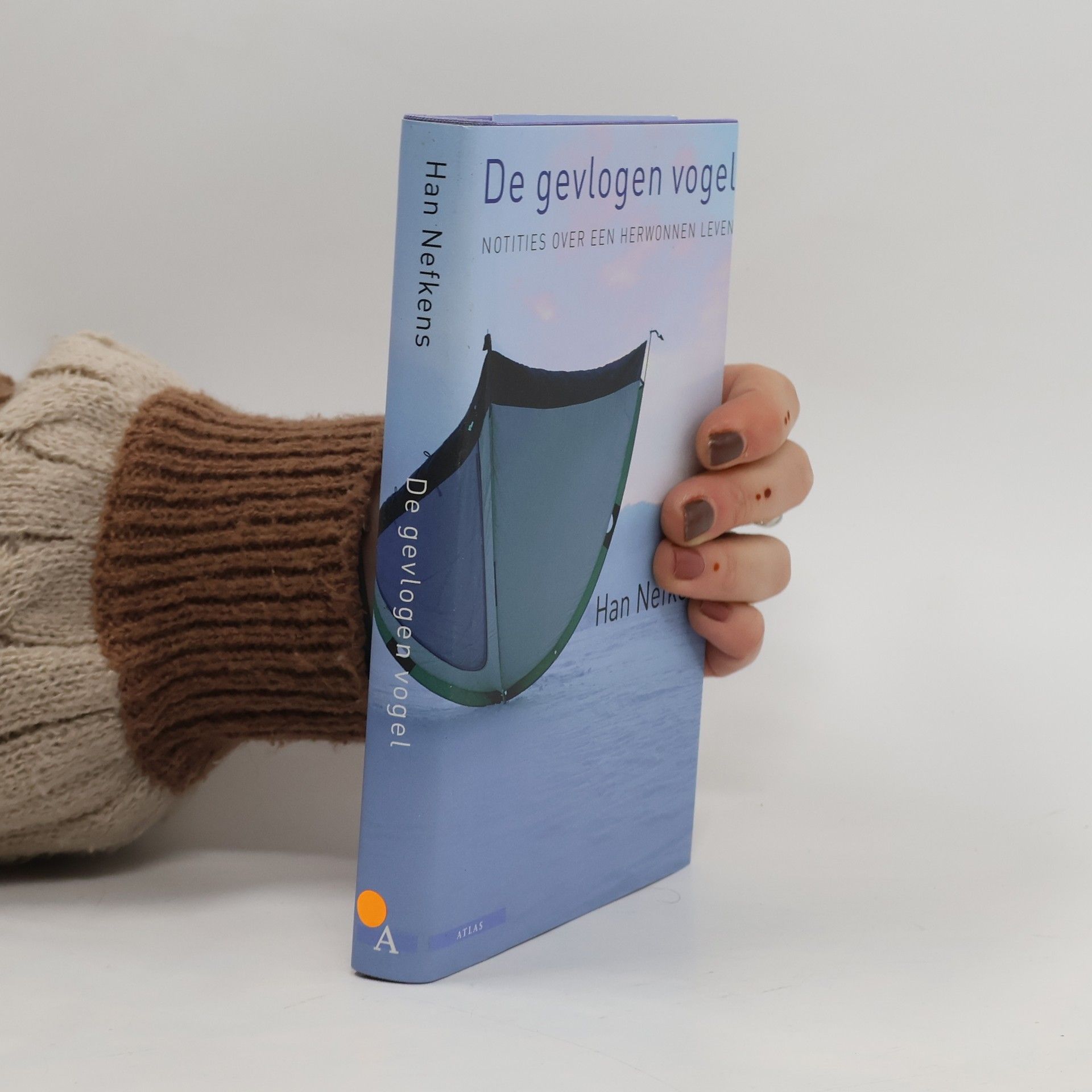 Han Nefkens De gevlogen vogel