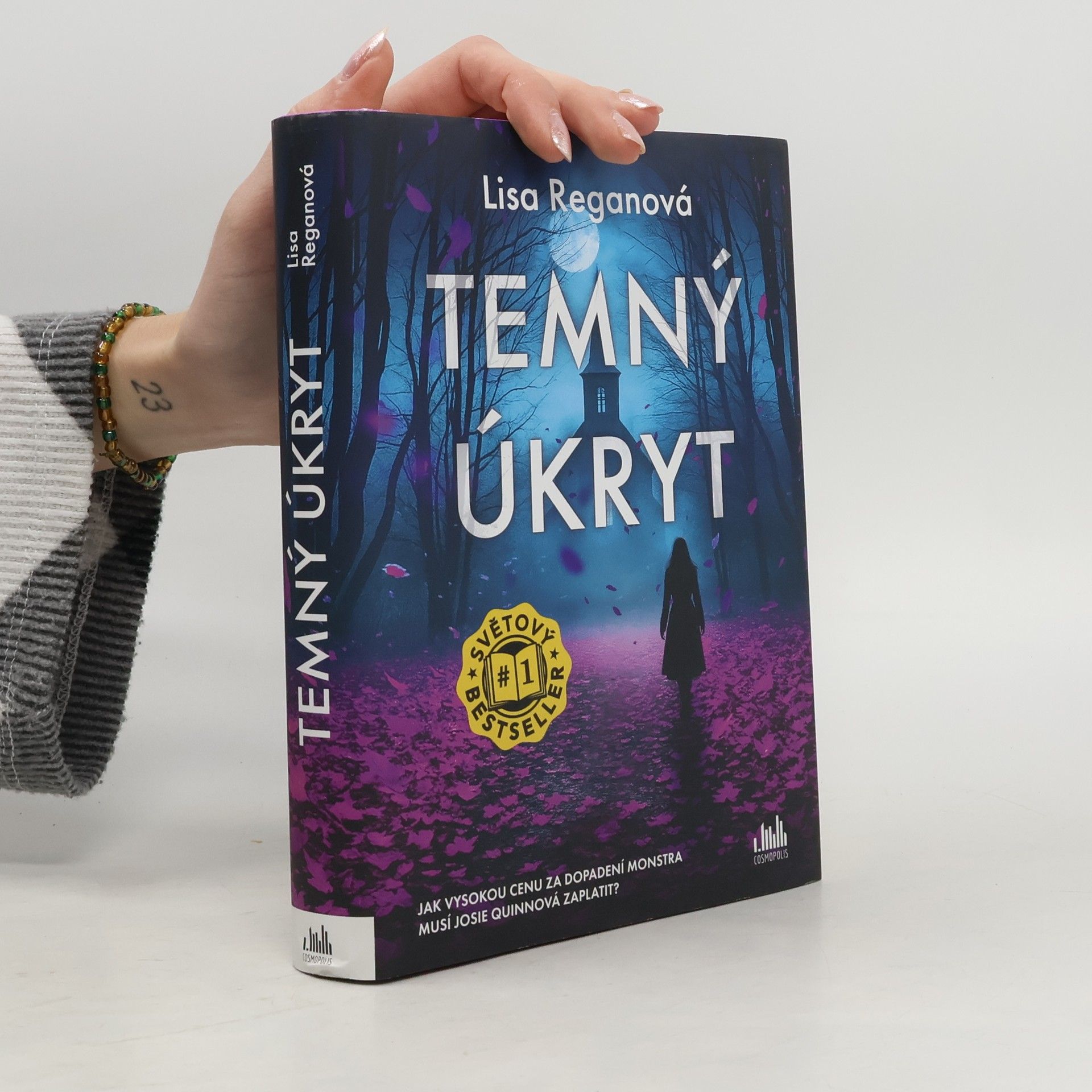 Lisa Regan Temný úkryt