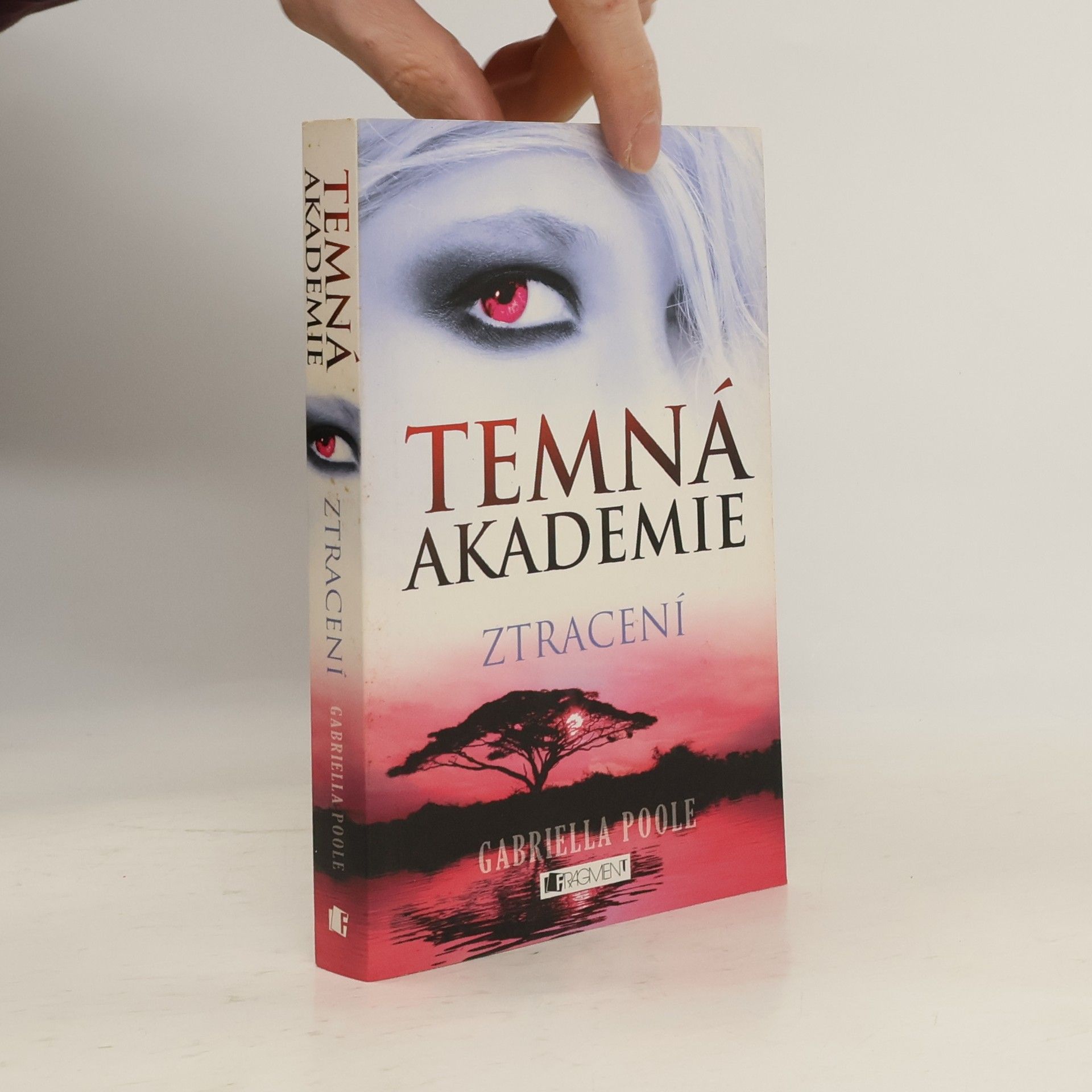 Temná akademie. Ztracení