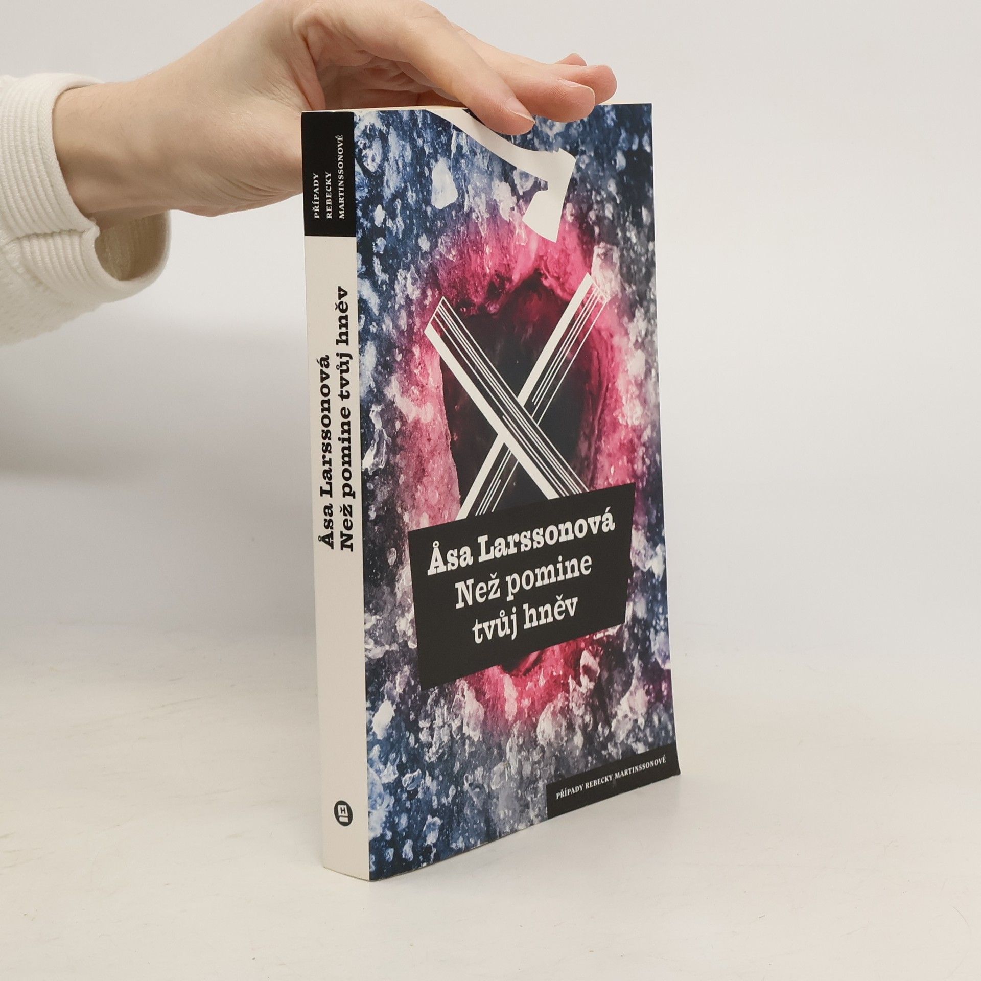 Åsa Larsson Než pomine tvůj hněv