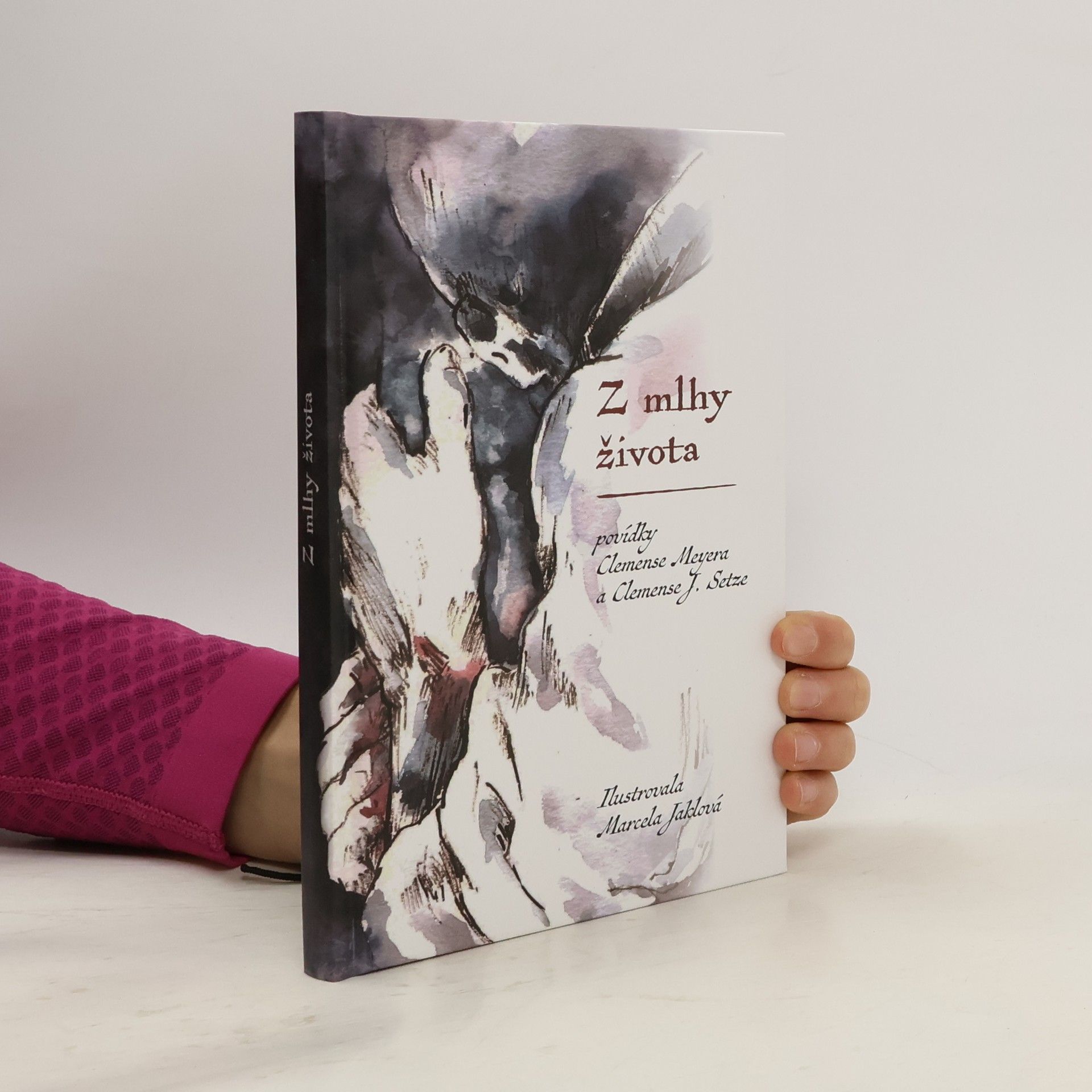 Clemens Meyer Z mlhy života - Vybrané povídky