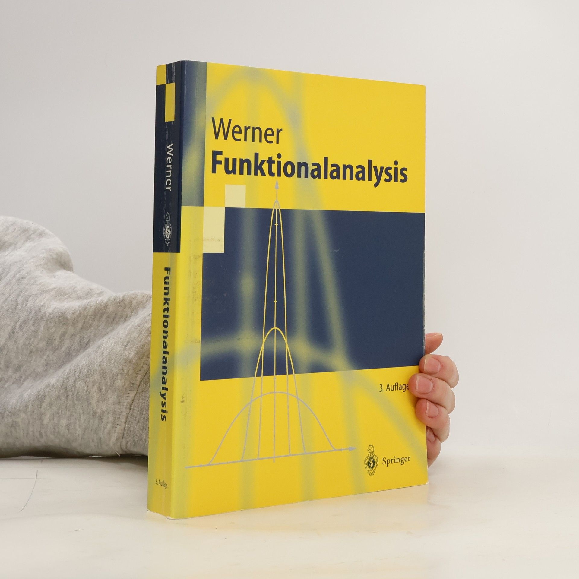 Dirk Werner Springer-Lehrbuch: Funktionalanalysis