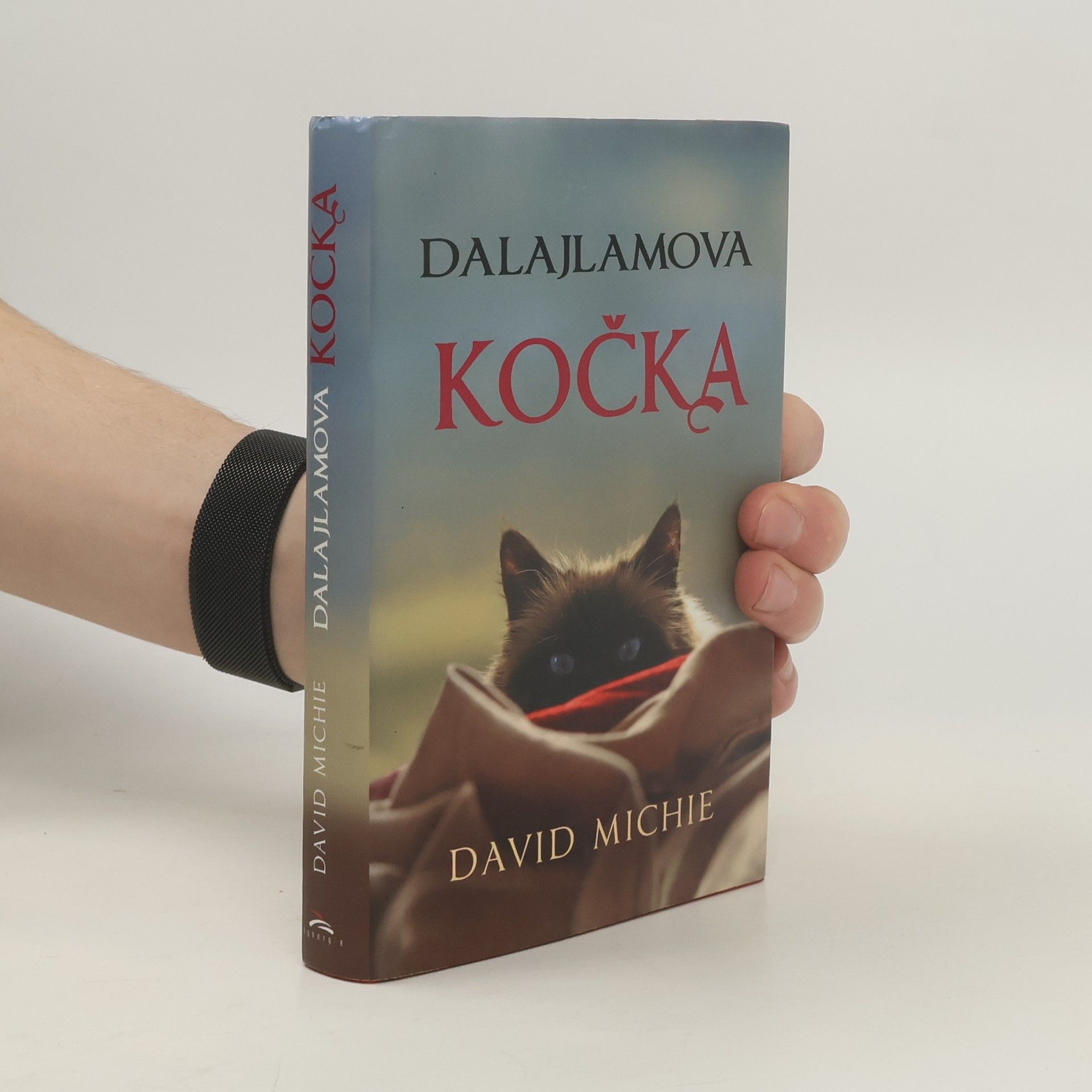 David Michie Dalajlamova kočka