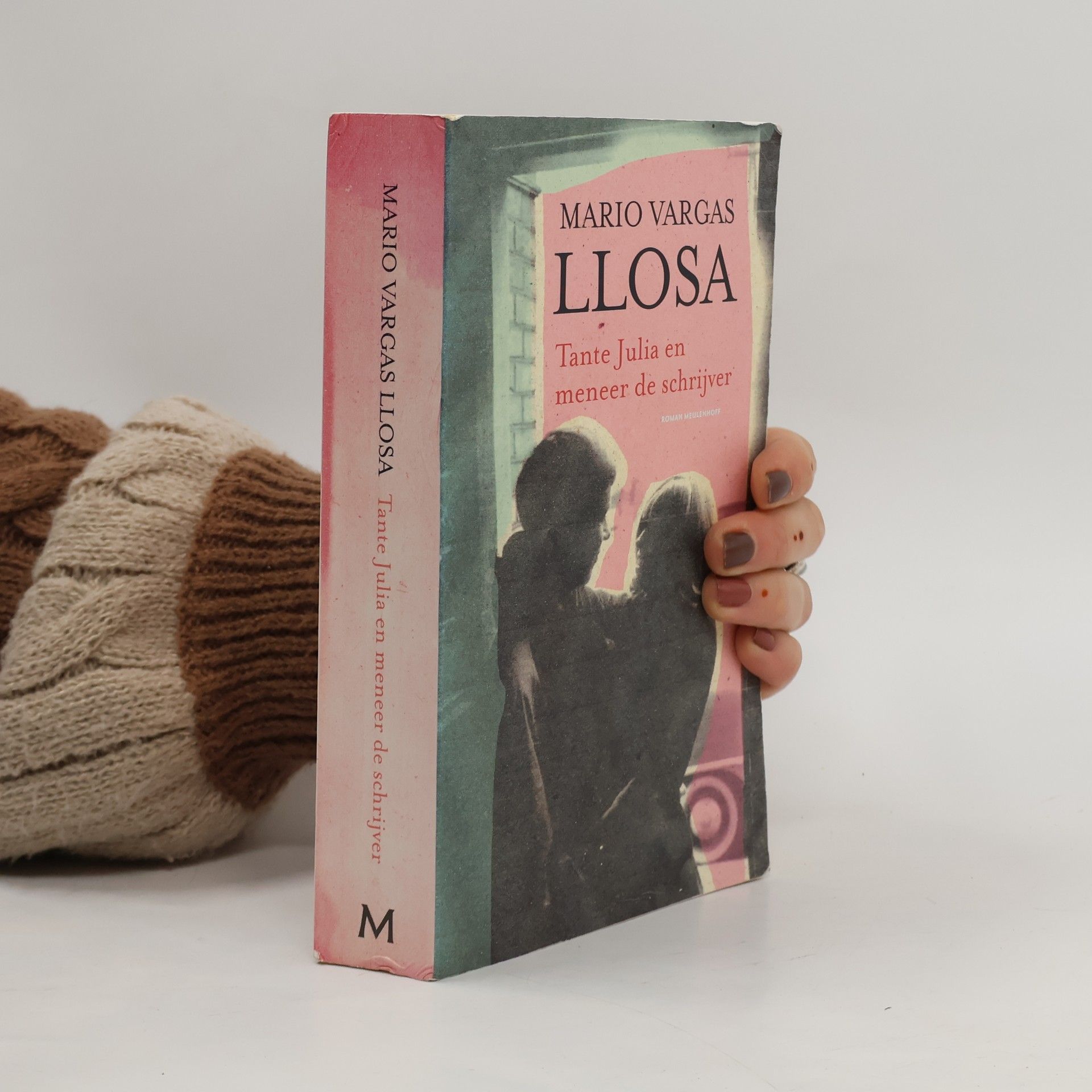 Mario Vargas Llosa Tante Julia en meneer de schrijver