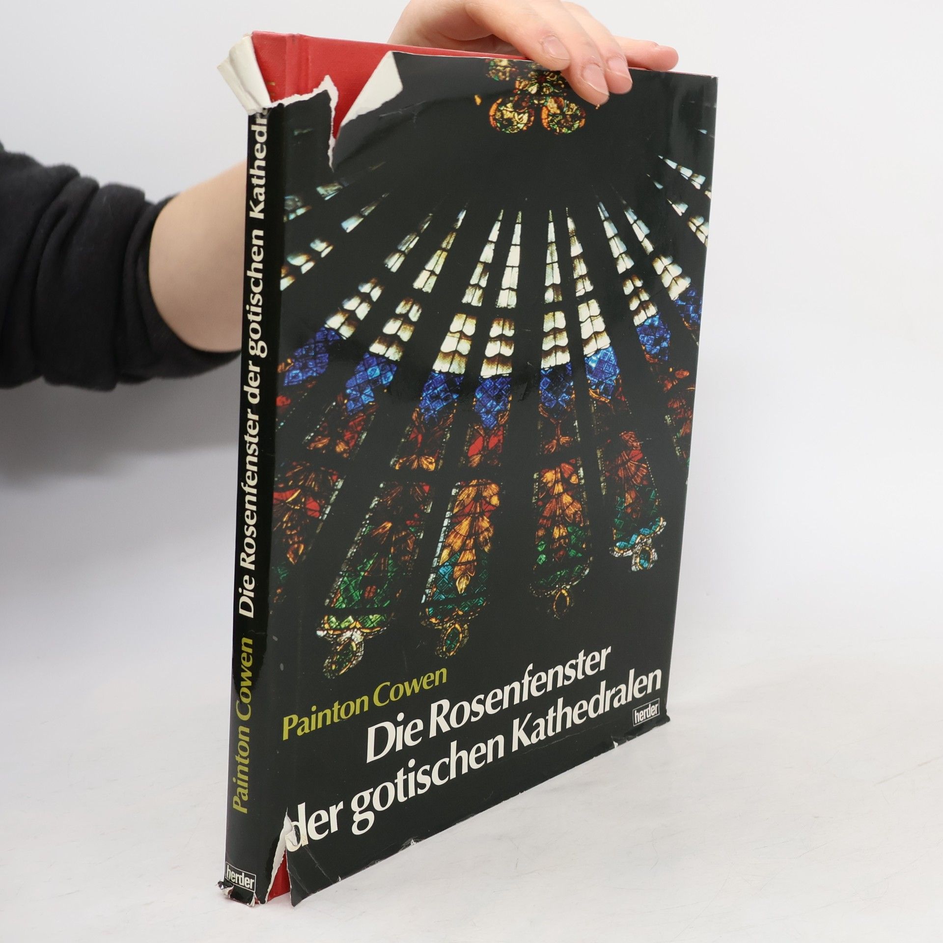 Painton Cowen Die Rosenfenster der gotischen Kathedralen