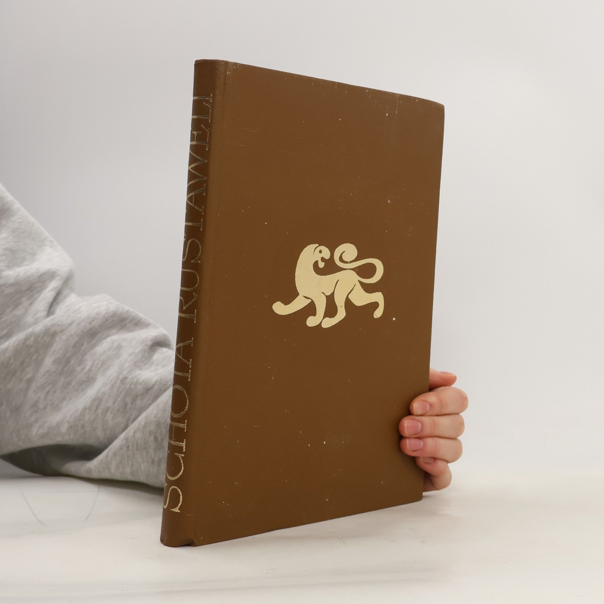 Schota Rusthaweli Der Mann im Pantherfell