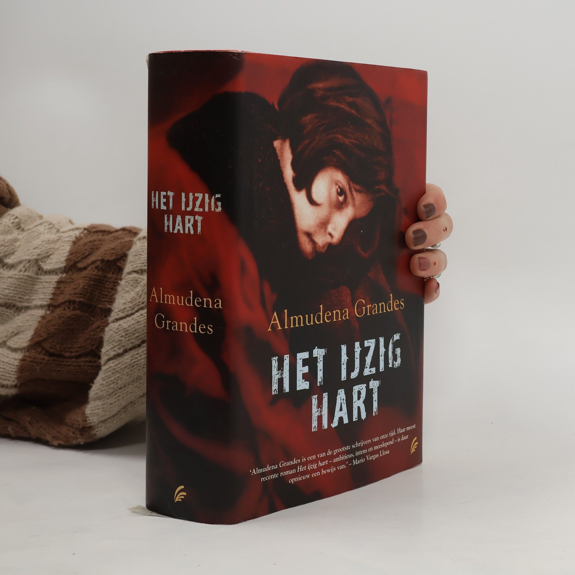 Almudena Grandes Het ijzig hart