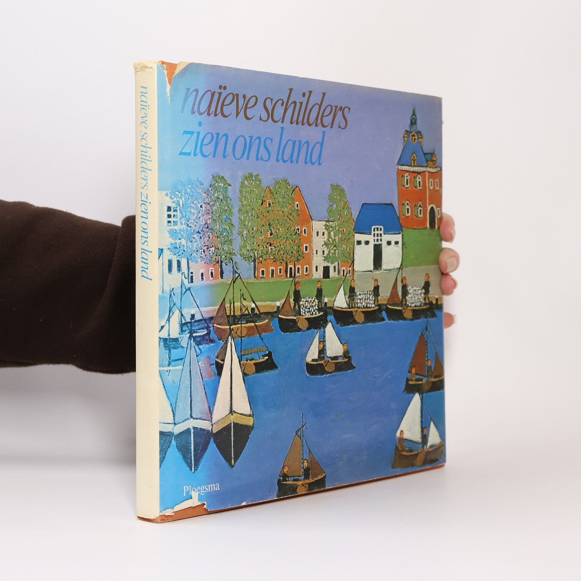 W.A. Braasem Naieve schilders zien ons land