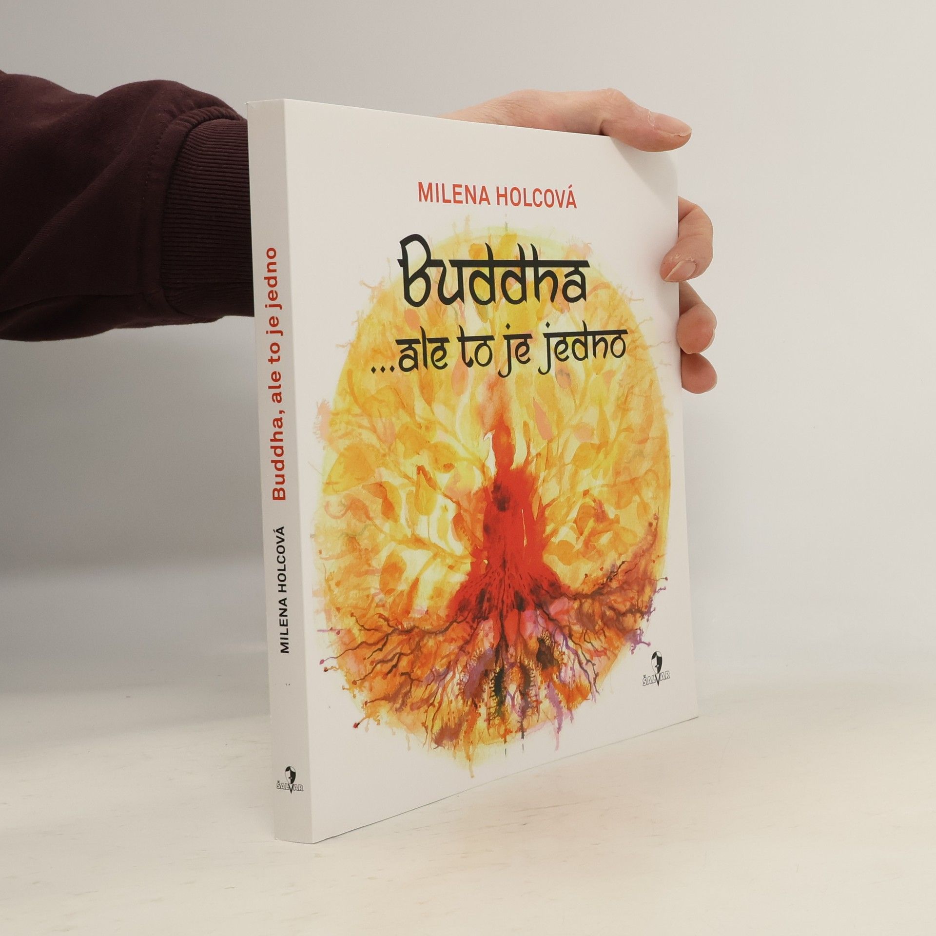 Milena Holcová Buddha ...ale to je jedno