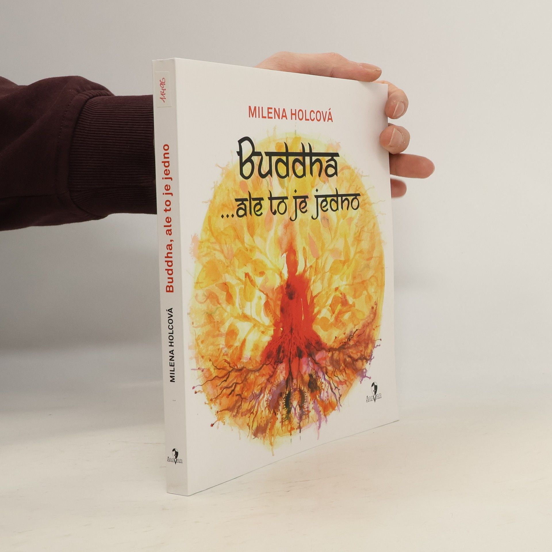 Holcová Milena Buddha ...ale to je jedno