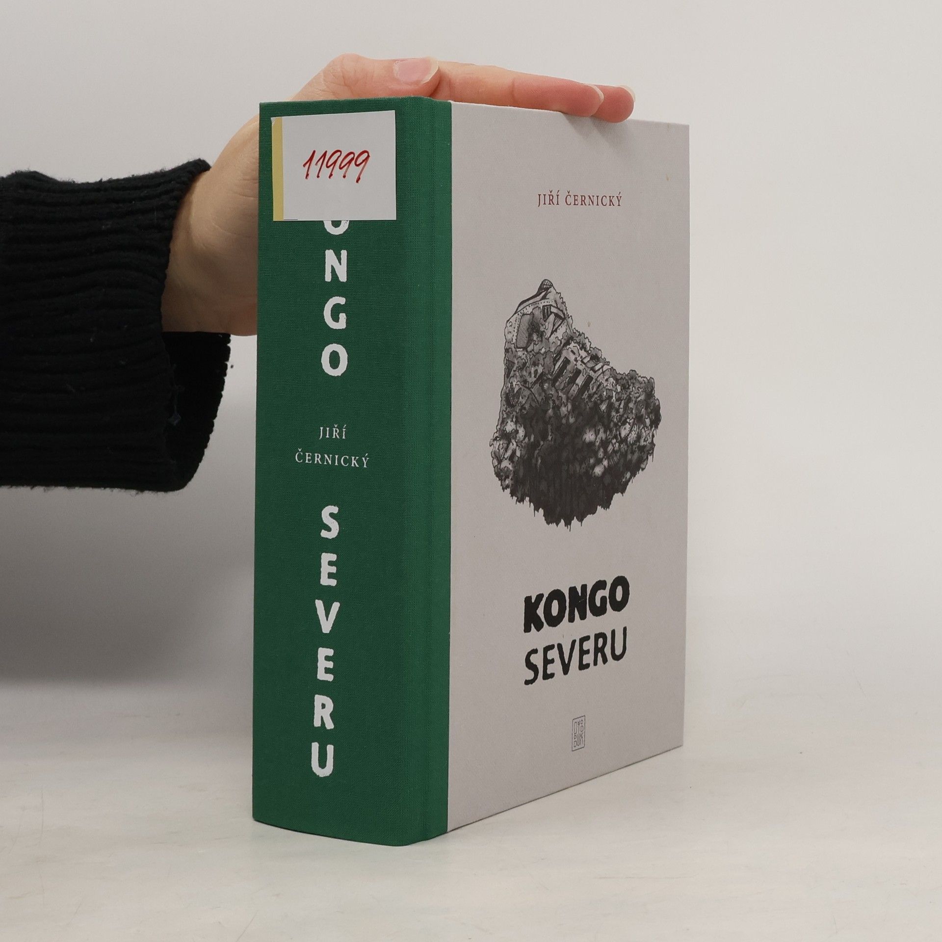 Jiří Černický Kongo severu