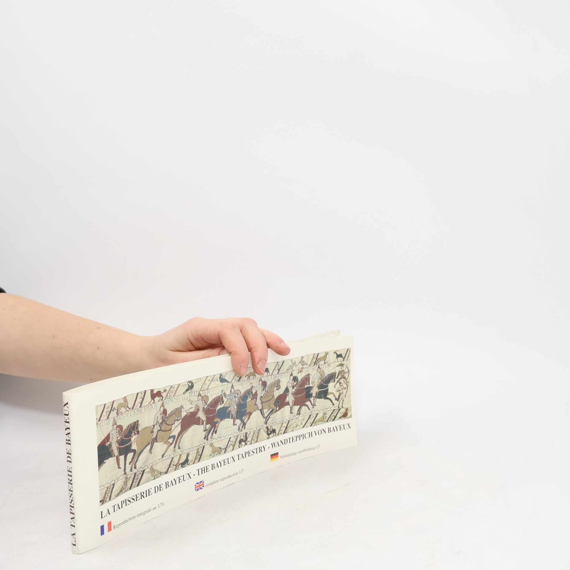 Kolektiv autorů La tapisserie de Bayeux