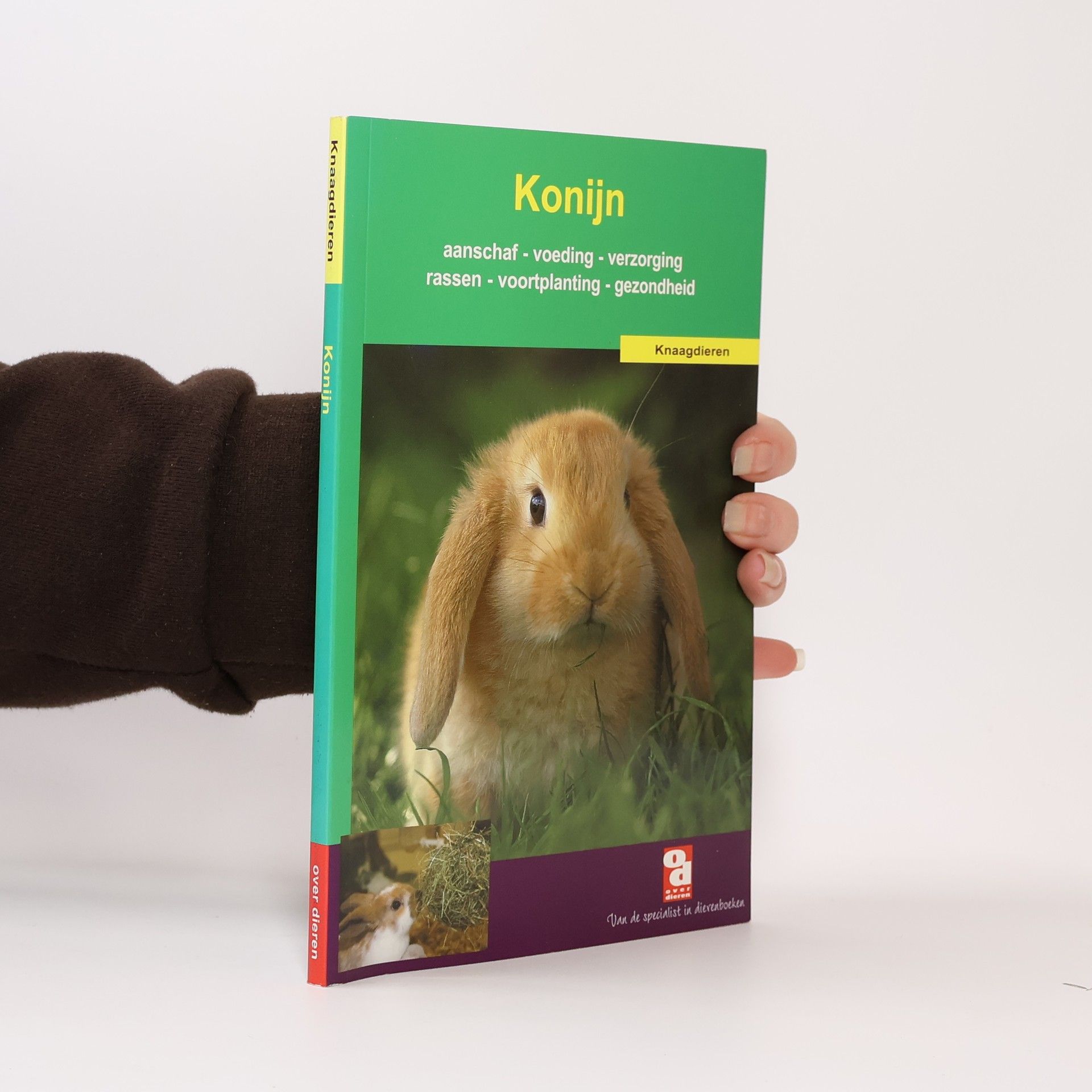 Various authors Konijn