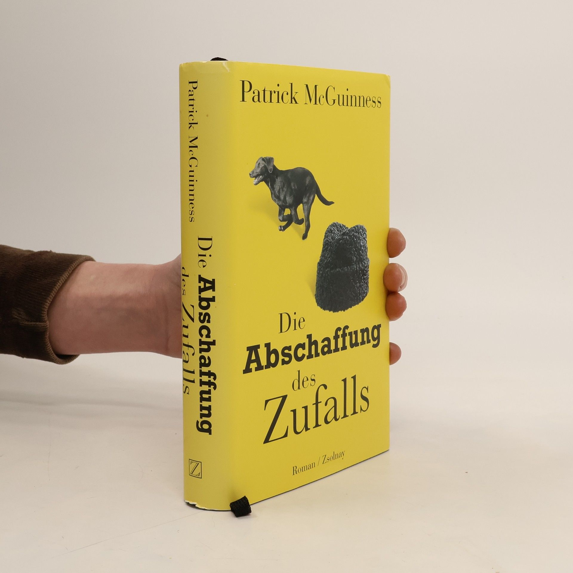 Patrick McGuinness Die Abschaffung des Zufalls