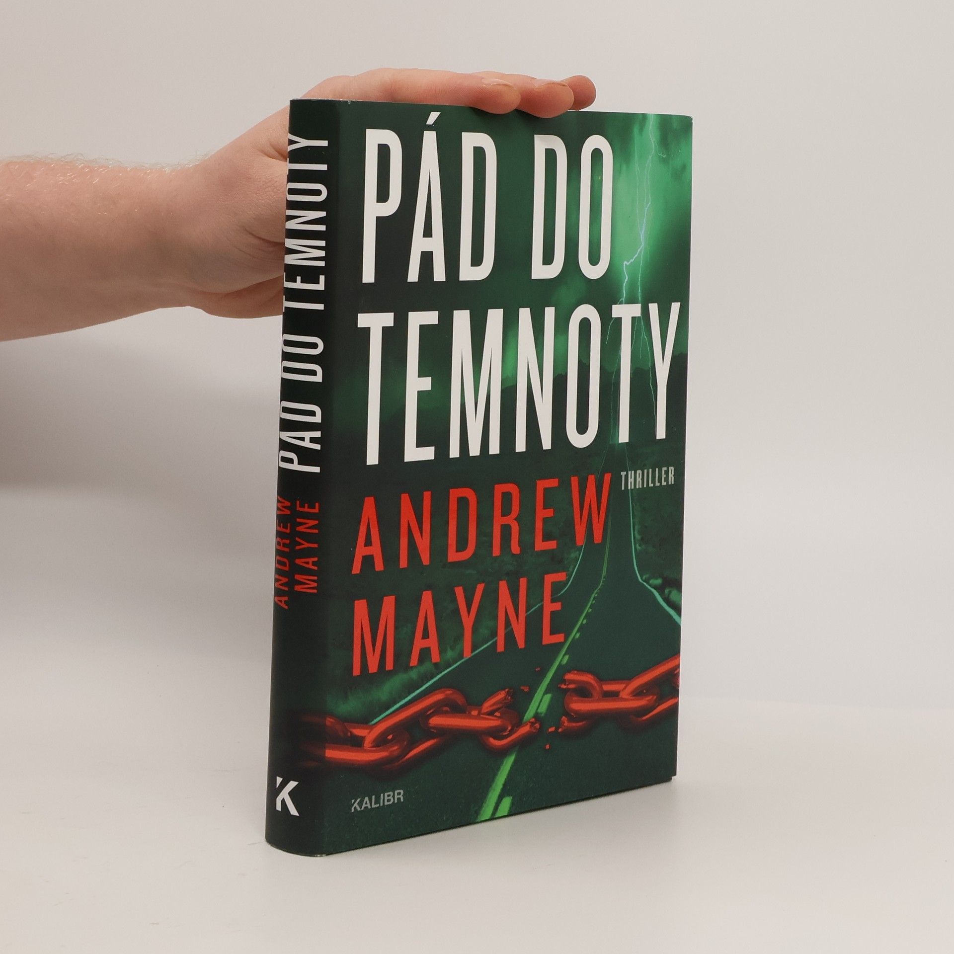 Milan Lžička Pád do temnoty