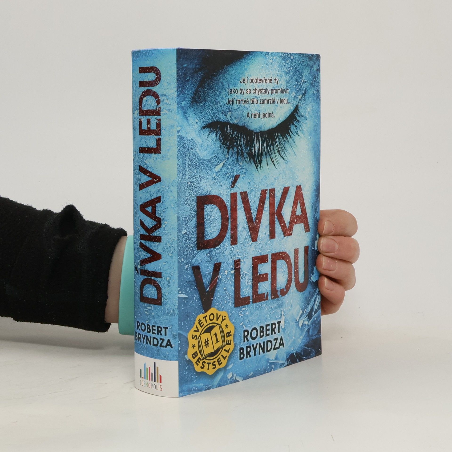 Robert Bryndza Dívka v ledu