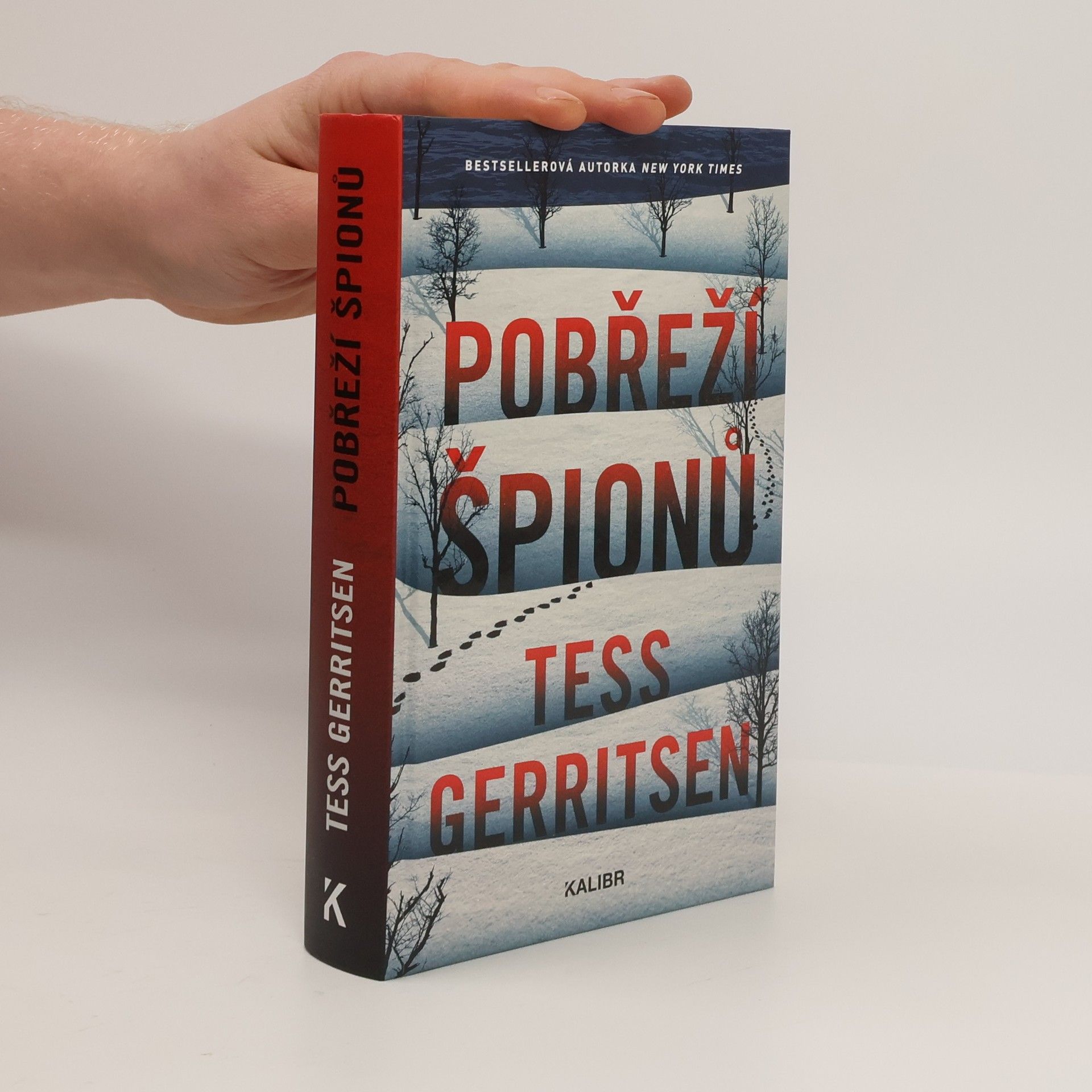 Tess Gerritsen Pobřeží špionů