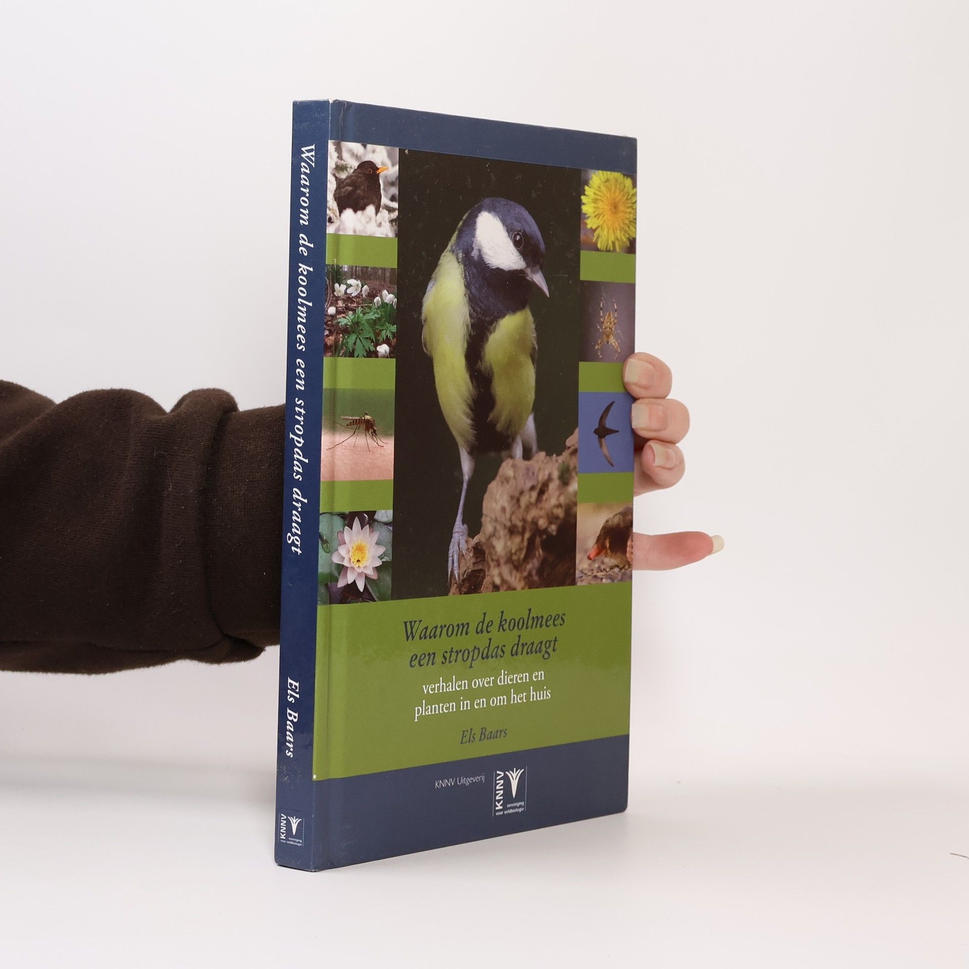 Eveline Bergwerf Hoeder gezocht