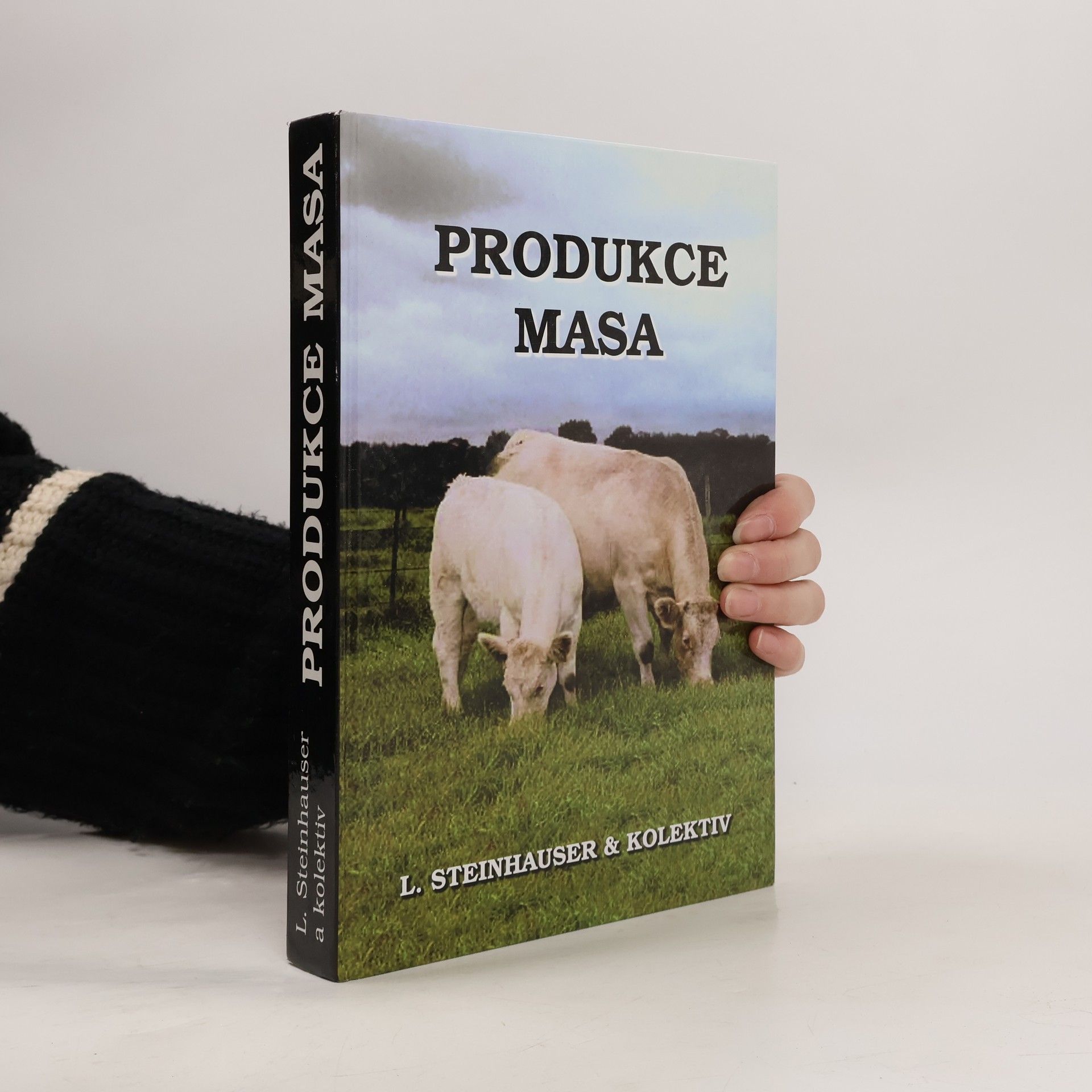 Produkce masa